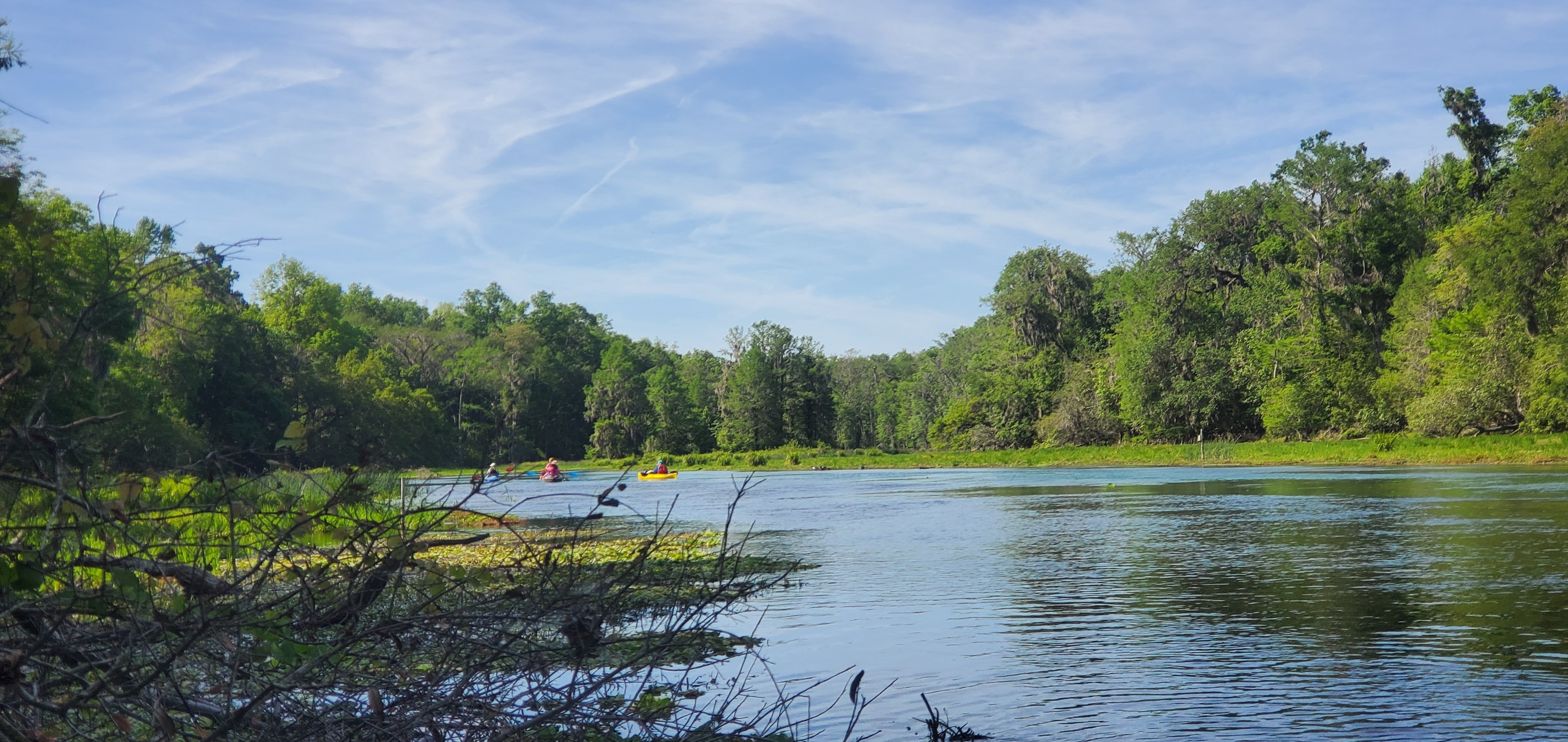Paddlers in wide area, 10:54:37, 29.9716061, -82.7597134