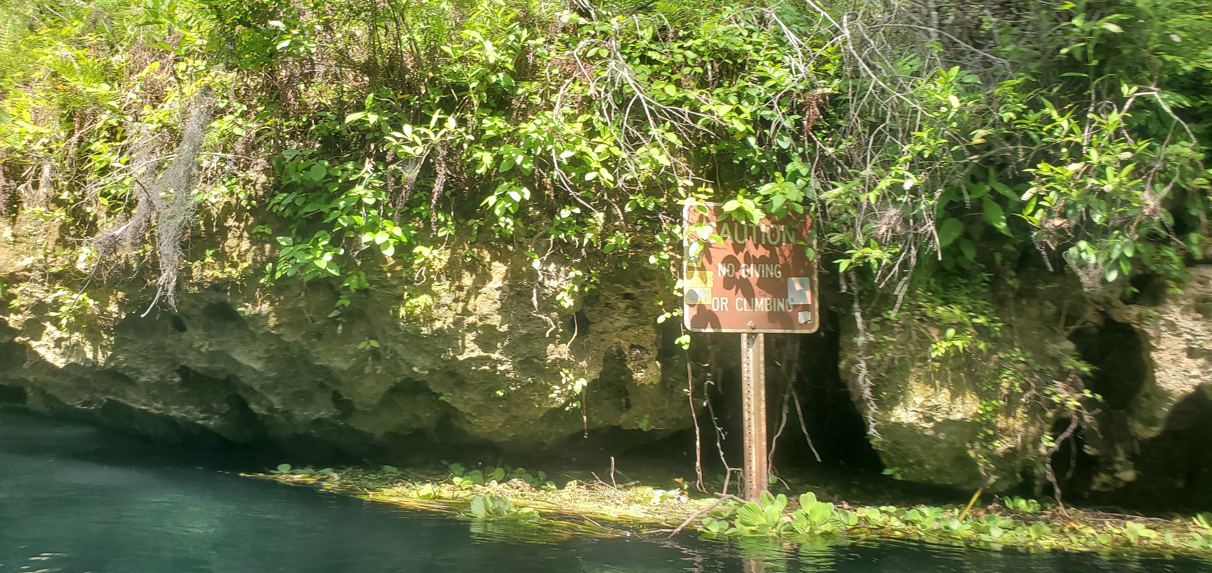 Caution: No Diving or Climbing (right bank), 11:24:06, 29.9603583, -82.7715276