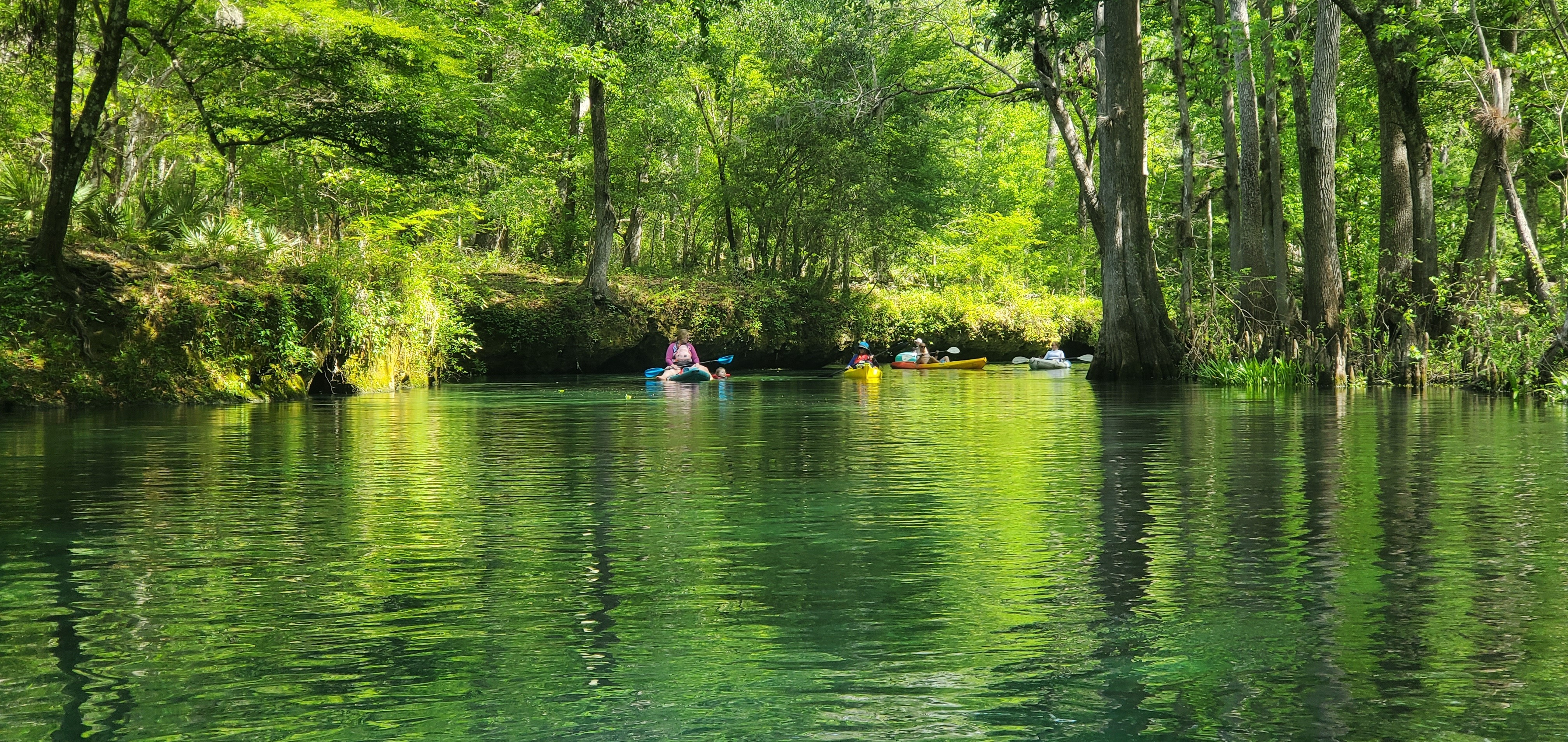 Paddlers behind, 11:26:11, 29.9597004, -82.7723207