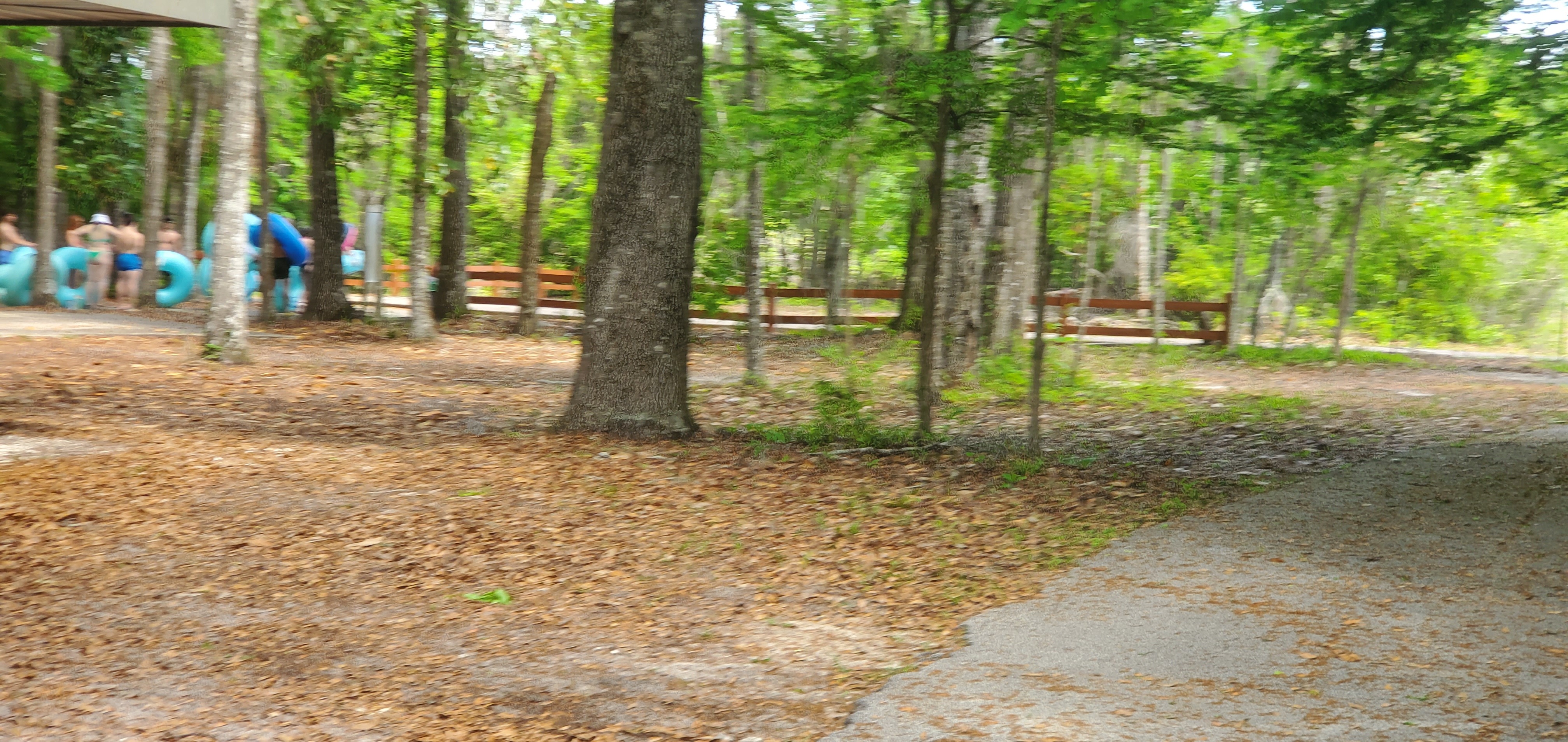 Lunching at a pavilion, 12:02:25, 29.9537016, -82.7840162