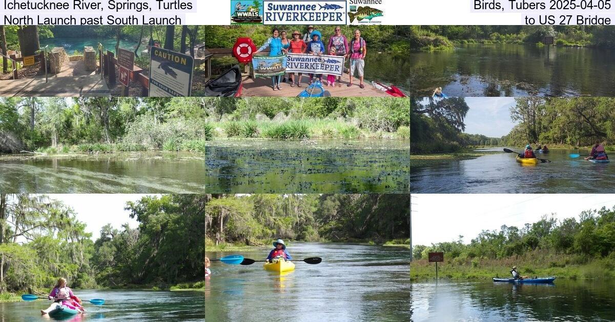 Ichetucknee River, Springs, Turtles, Birds, Tubers 2025-04-05, North Launch past South Launch, to US 27 Bridge