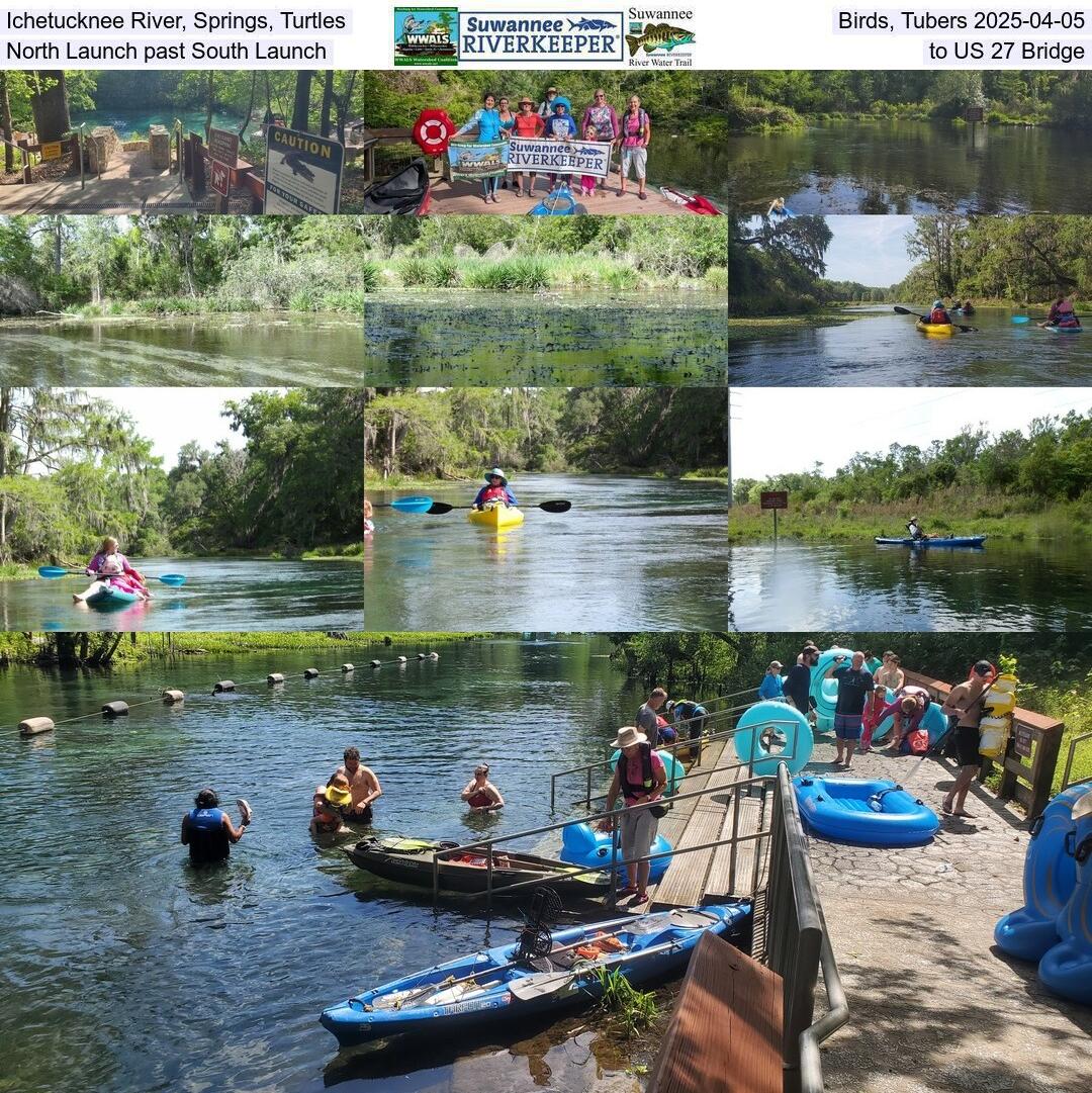 Ichetucknee River, Springs, Turtles, Birds, Tubers 2025-04-05, North Launch past South Launch, to US 27 Bridge