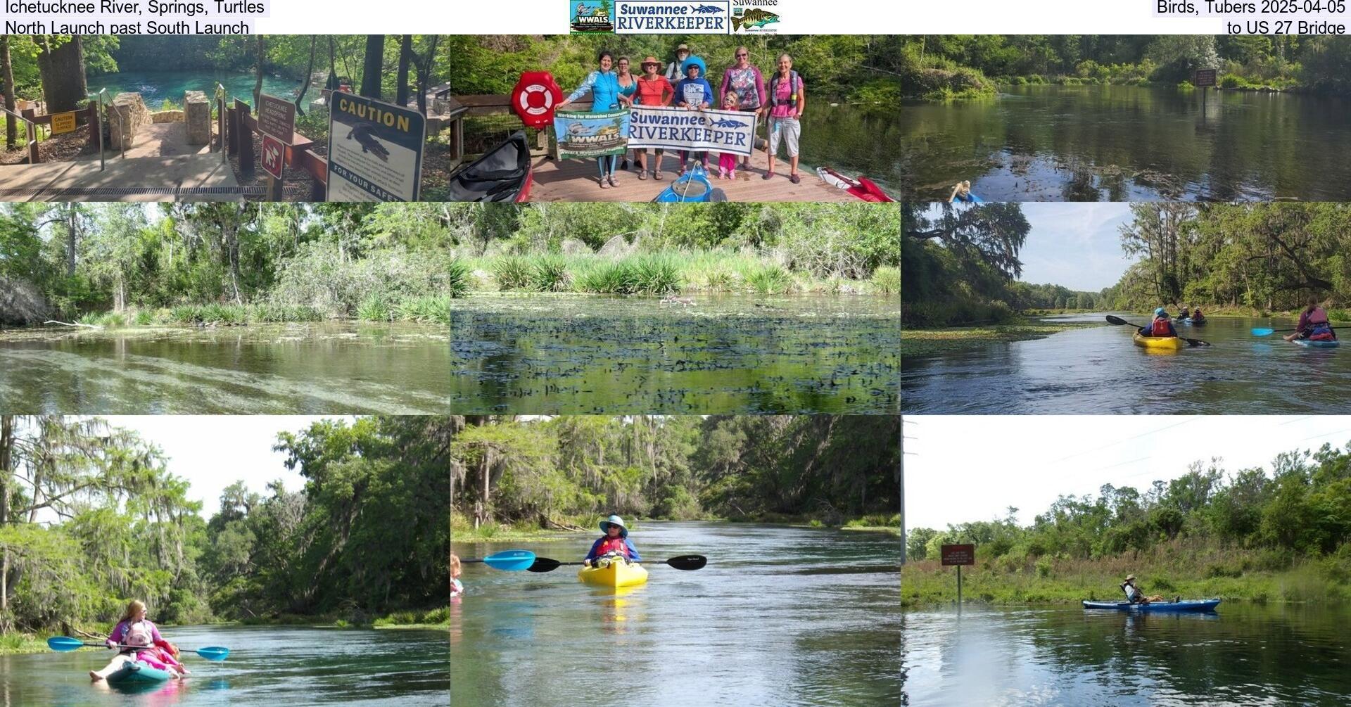 Ichetucknee River, Springs, Turtles, Birds, Tubers 2025-04-05, North Launch past South Launch, to US 27 Bridge