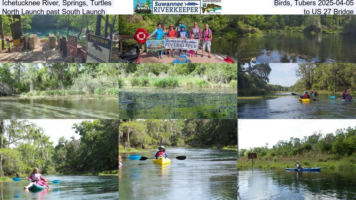 Ichetucknee River, Springs, Turtles, Birds, Tubers 2025-04-05, North Launch past South Launch, to US 27 Bridge