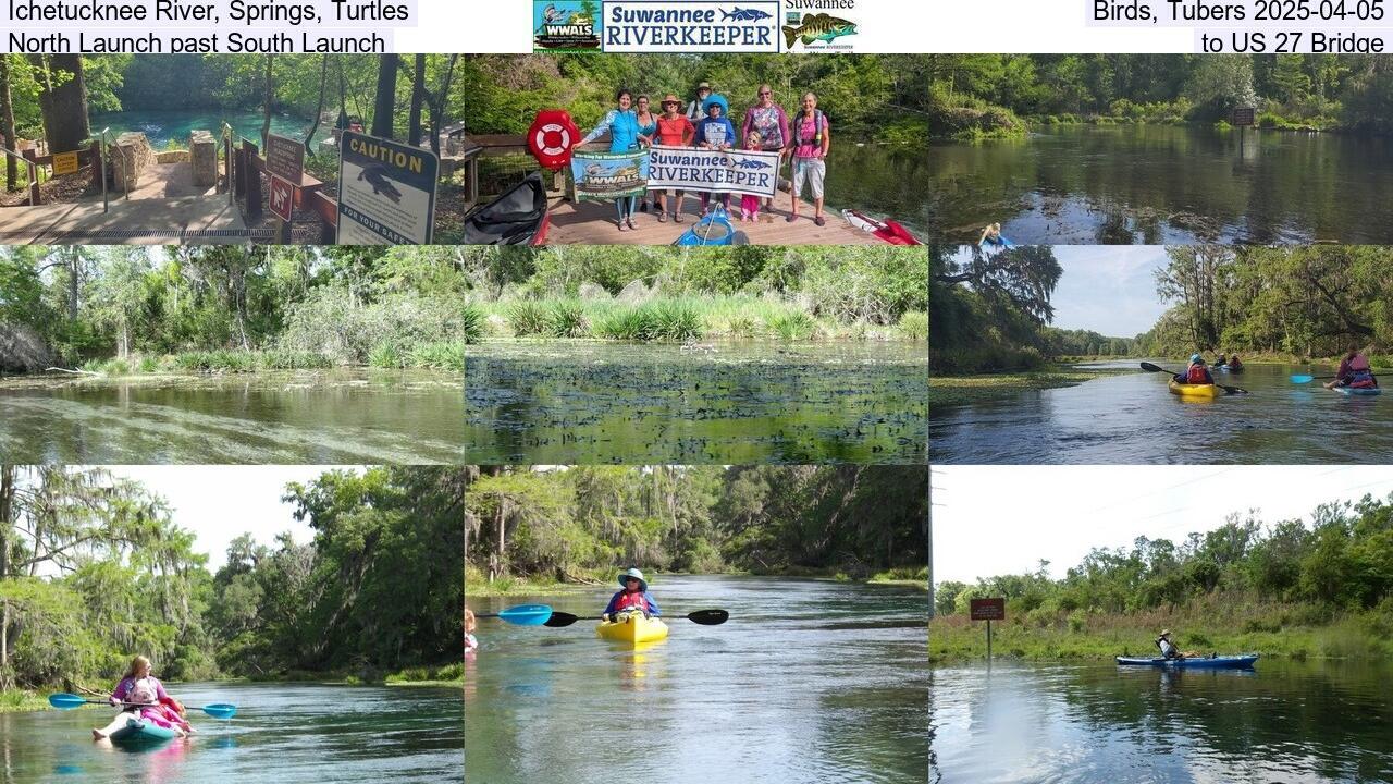 Ichetucknee River, Springs, Turtles, Birds, Tubers 2025-04-05, North Launch past South Launch, to US 27 Bridge