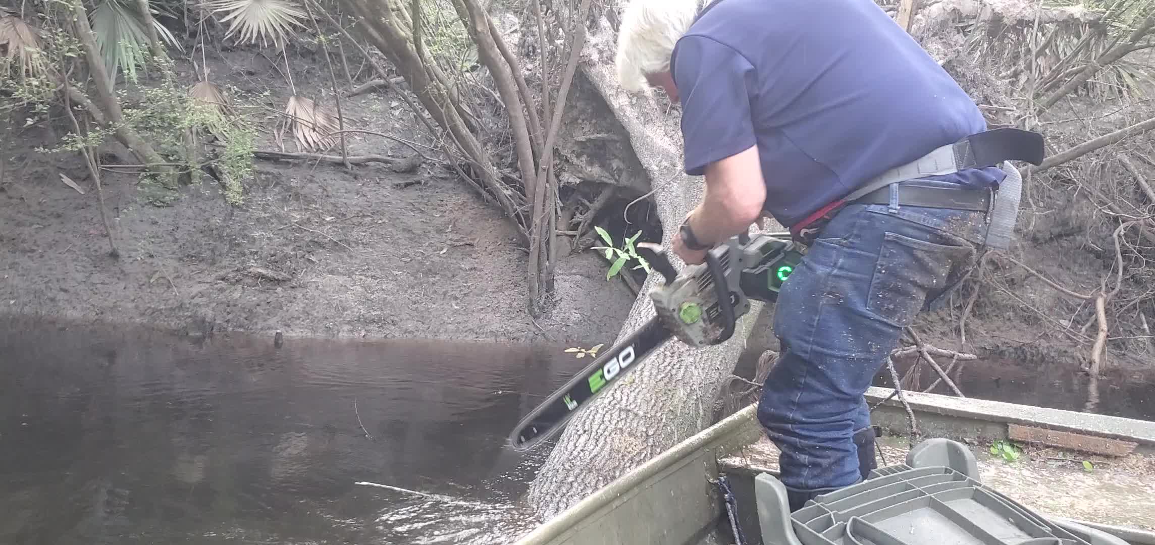 Movie: Sawing towards the base with EGO 18-inch electric saw, 18:31:11, 30.8467289, -83.3438400 (2.2M)