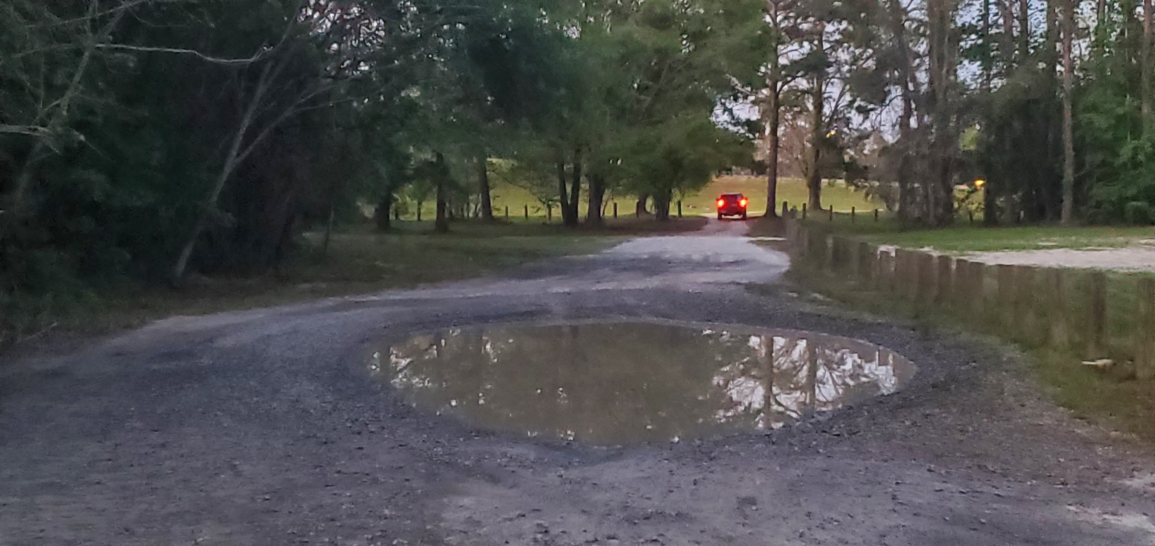 Pothole Pond in access road, Troupville Boat Ramp, 20:11:29, 30.8518516, -83.3468933