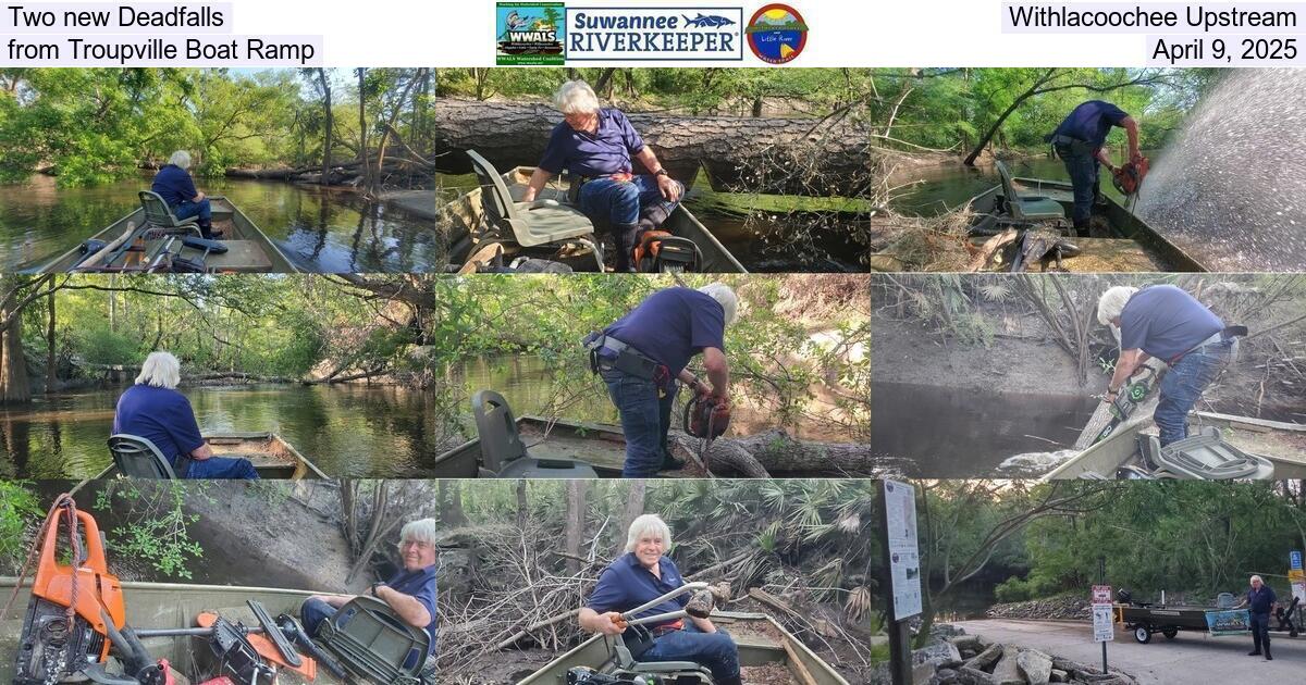 Two new Deadfalls, Withlacoochee Upstream from Troupville Boat Ramp, April 9, 2025