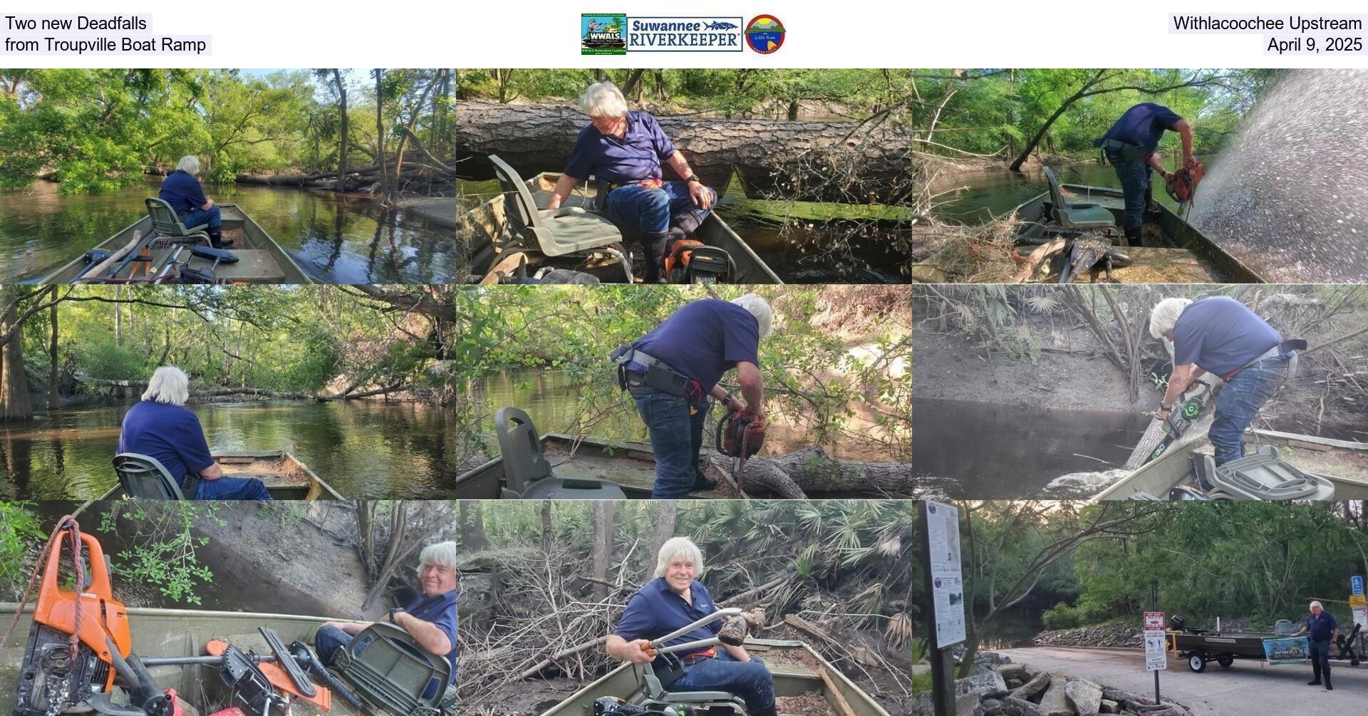 Two new Deadfalls, Withlacoochee Upstream from Troupville Boat Ramp, April 9, 2025