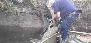 [Movie: Sawing towards the base with EGO 18-inch electric saw, 18:31:11, 30.8467289, -83.3438400 (2.2M)]