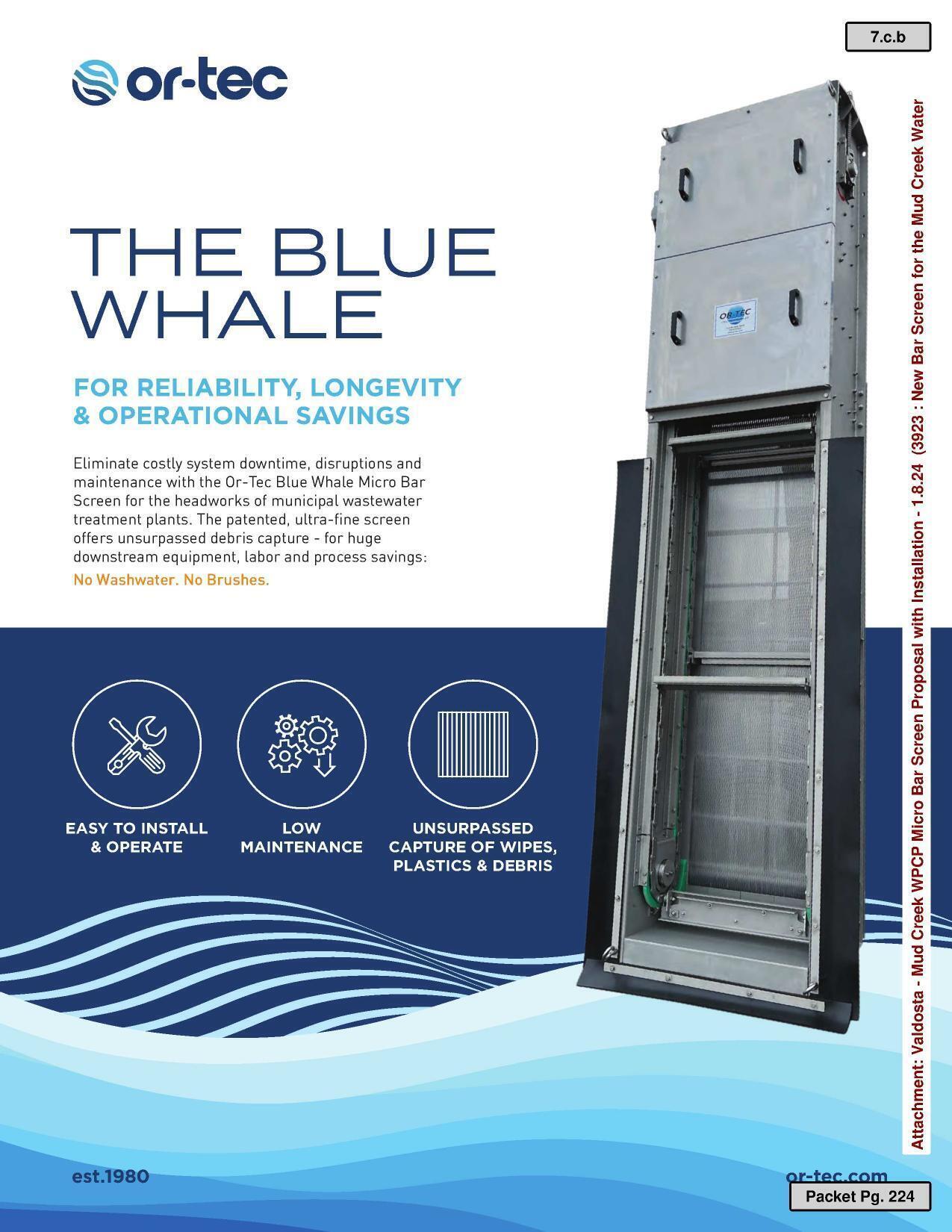 Photograph: The Blue Whale