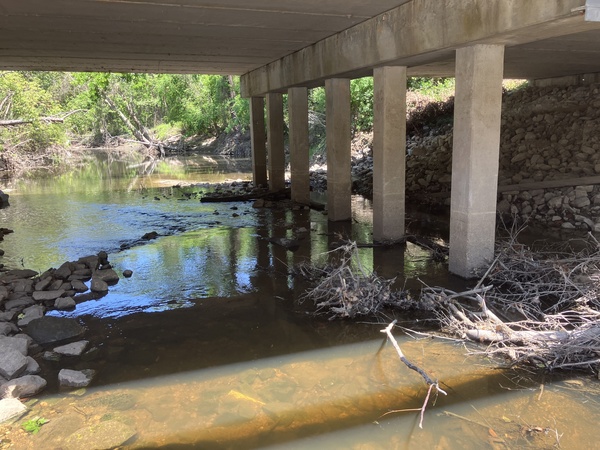 Downstream, Sugar Creek @ Gornto Road, Sugar Creek @ Gornto Road 2025-04-09
