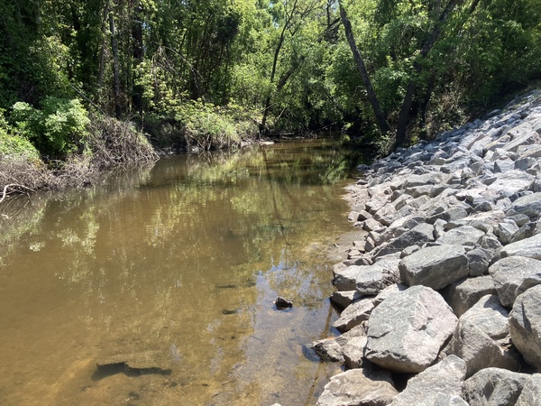 Upstream, Sugar Creek @ Gornto Road, Sugar Creek @ Gornto Road 2025-04-09
