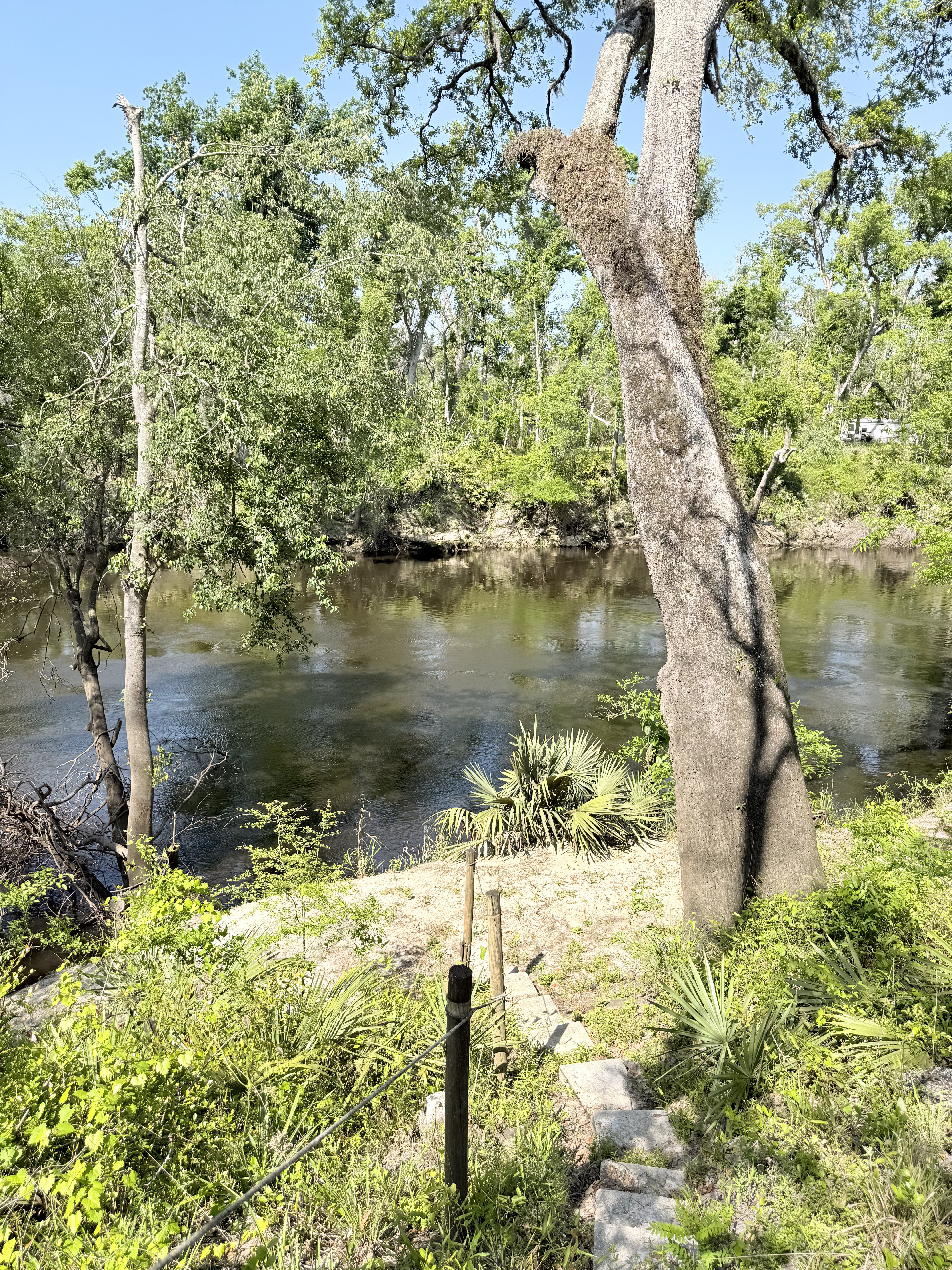Holly Point 4 1, Withlacoochee River @ NE Withla Bluffs Way 2025-04-10
