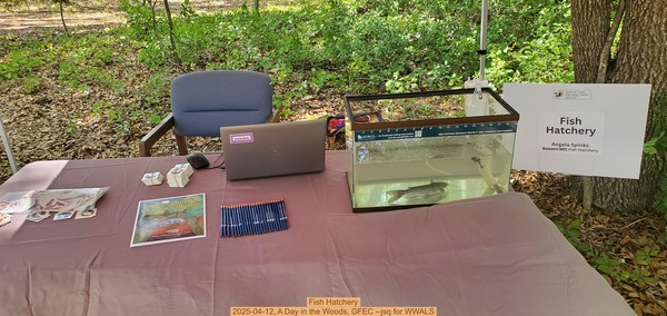 Fish Hatchery, 2025-04-12, A Day in the Woods, GFEC --jsq for WWALS