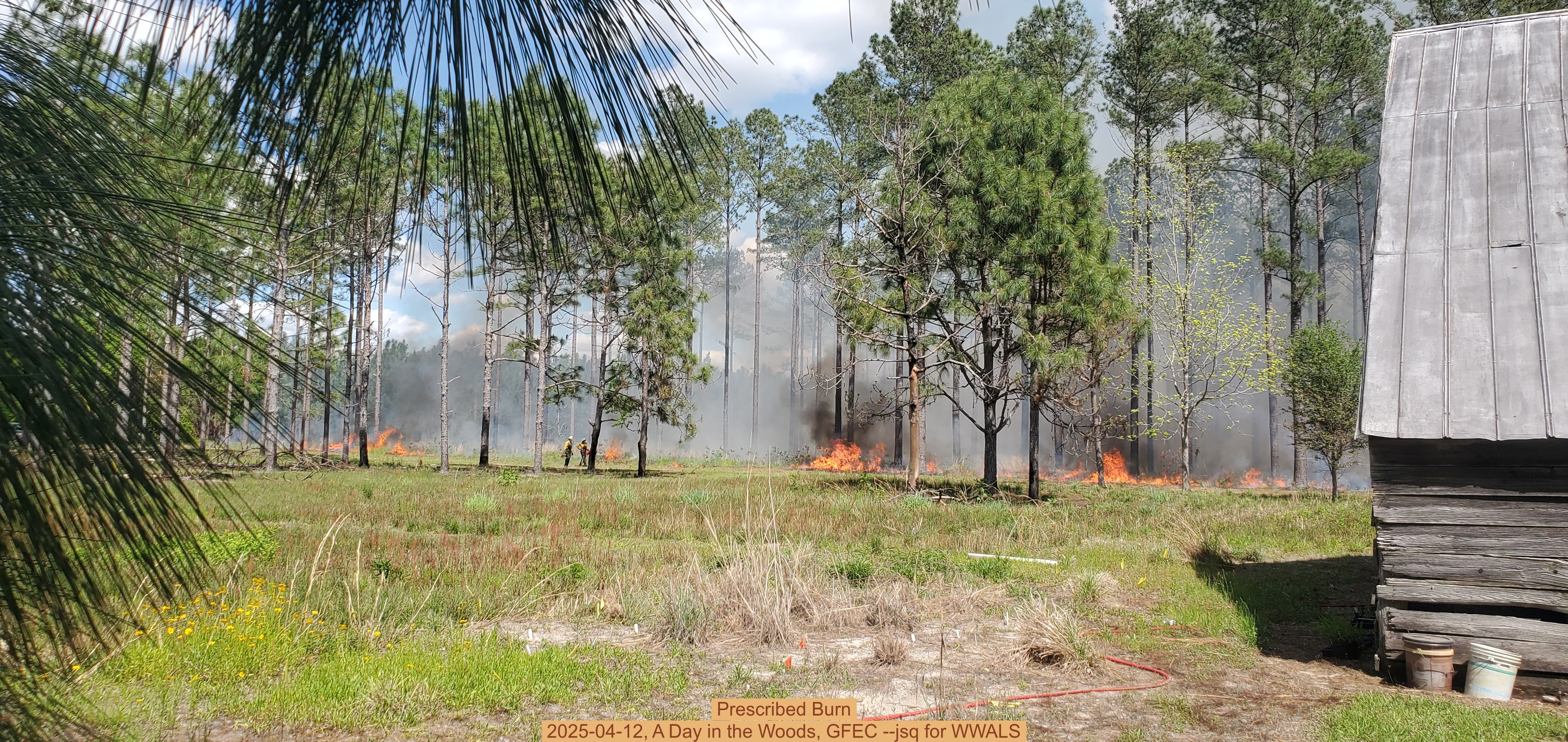 Prescribed Burn, 2025-04-12, A Day in the Woods, GFEC --jsq for WWALS