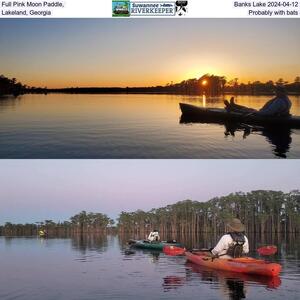 [Full Pink Moon Paddle, Banks Lake 2024-04-12, Lakeland, Georgia, Probably with bats]