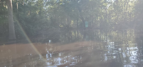 No Parking sign in the water, 09:19:16, 30.8867933, -83.3232110