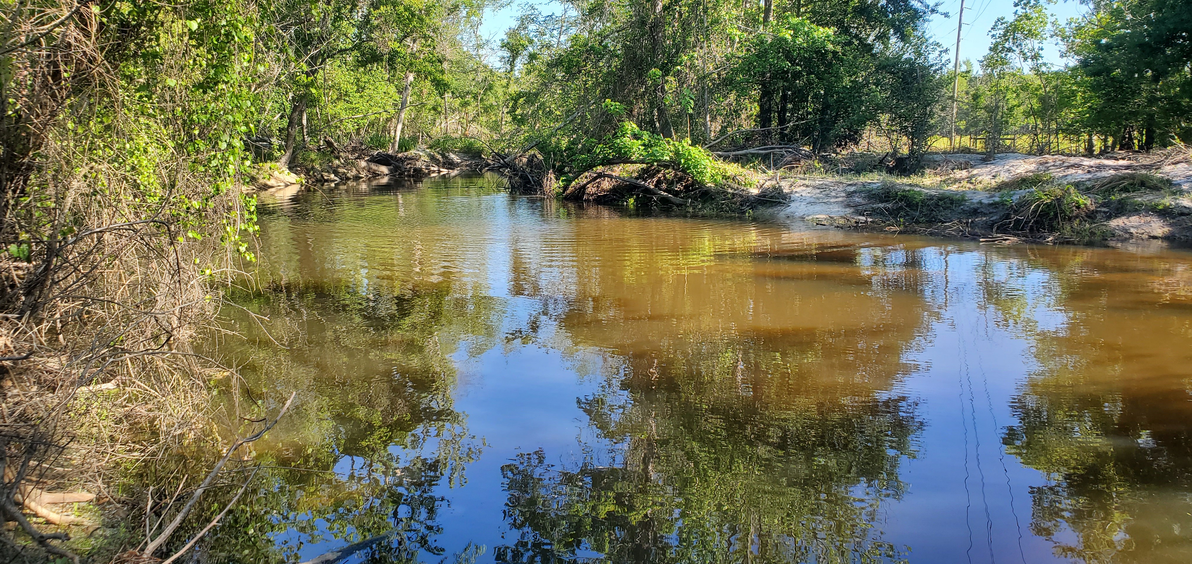 Downstream Sugar Creek, 09:55:52, 30.8622856, -83.3188072