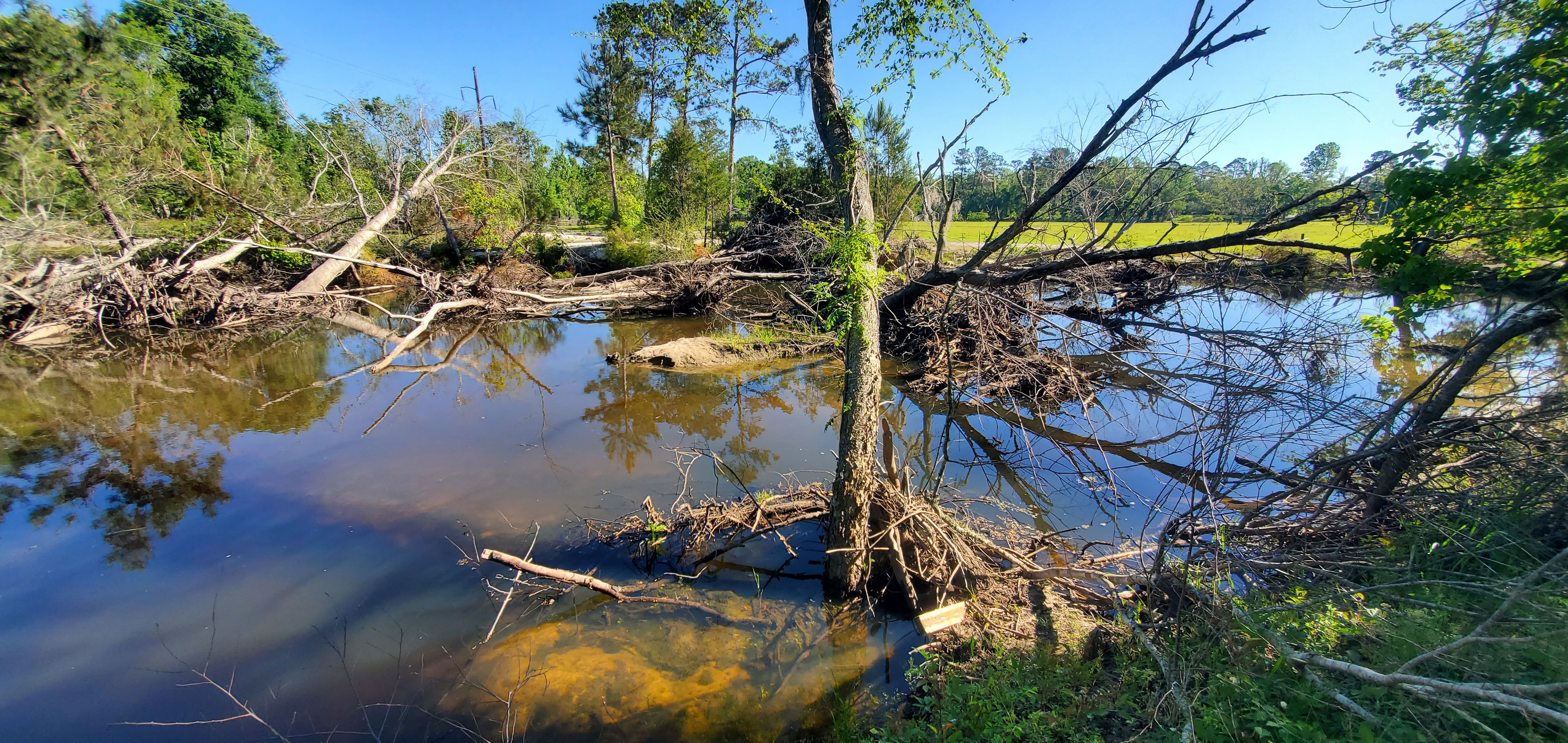Logjam on Sugar Creek, 10:00:48, 30.8633511, -83.3192572