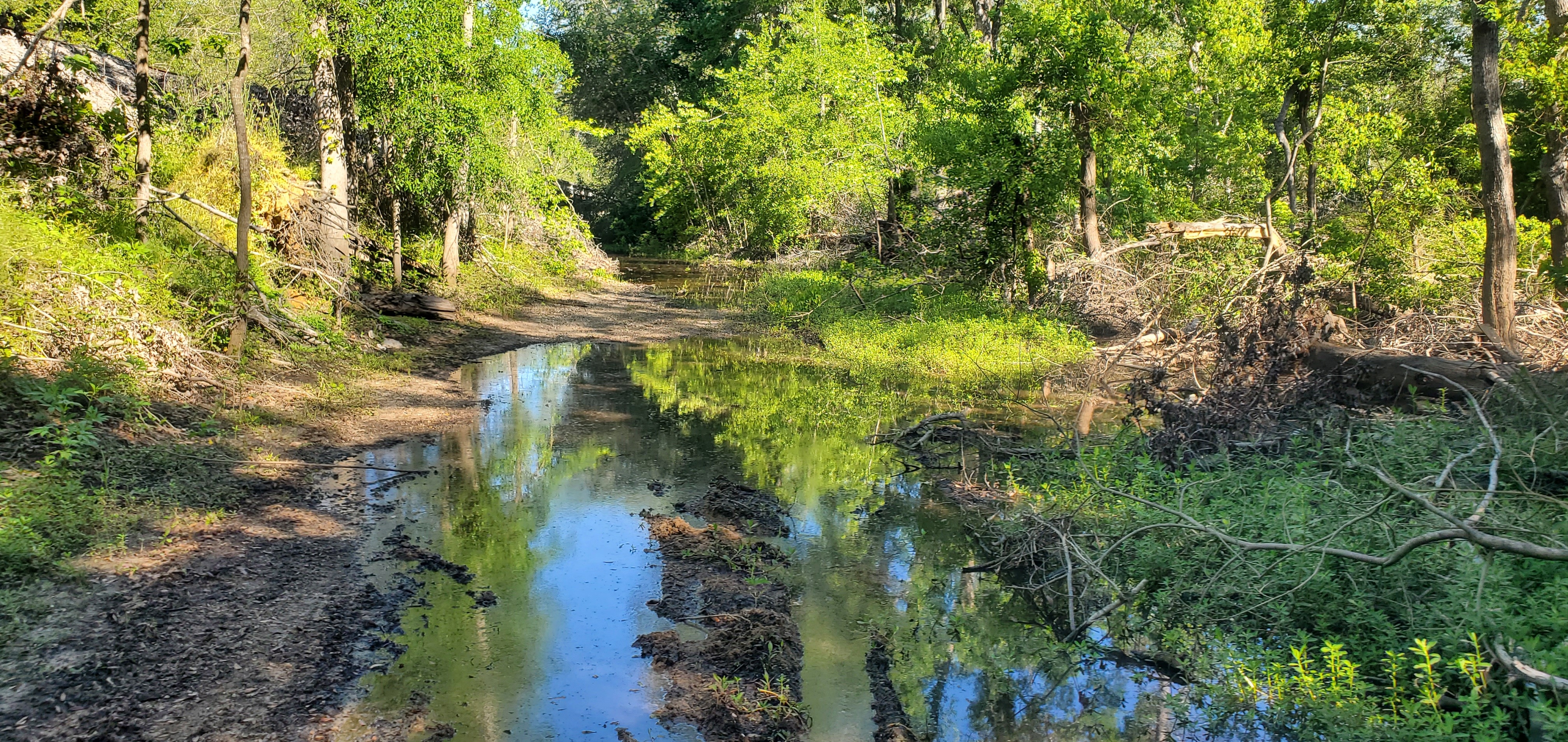Wet access road near the Withlacoochee River, 10:09:08, 30.8624133, -83.3207037
