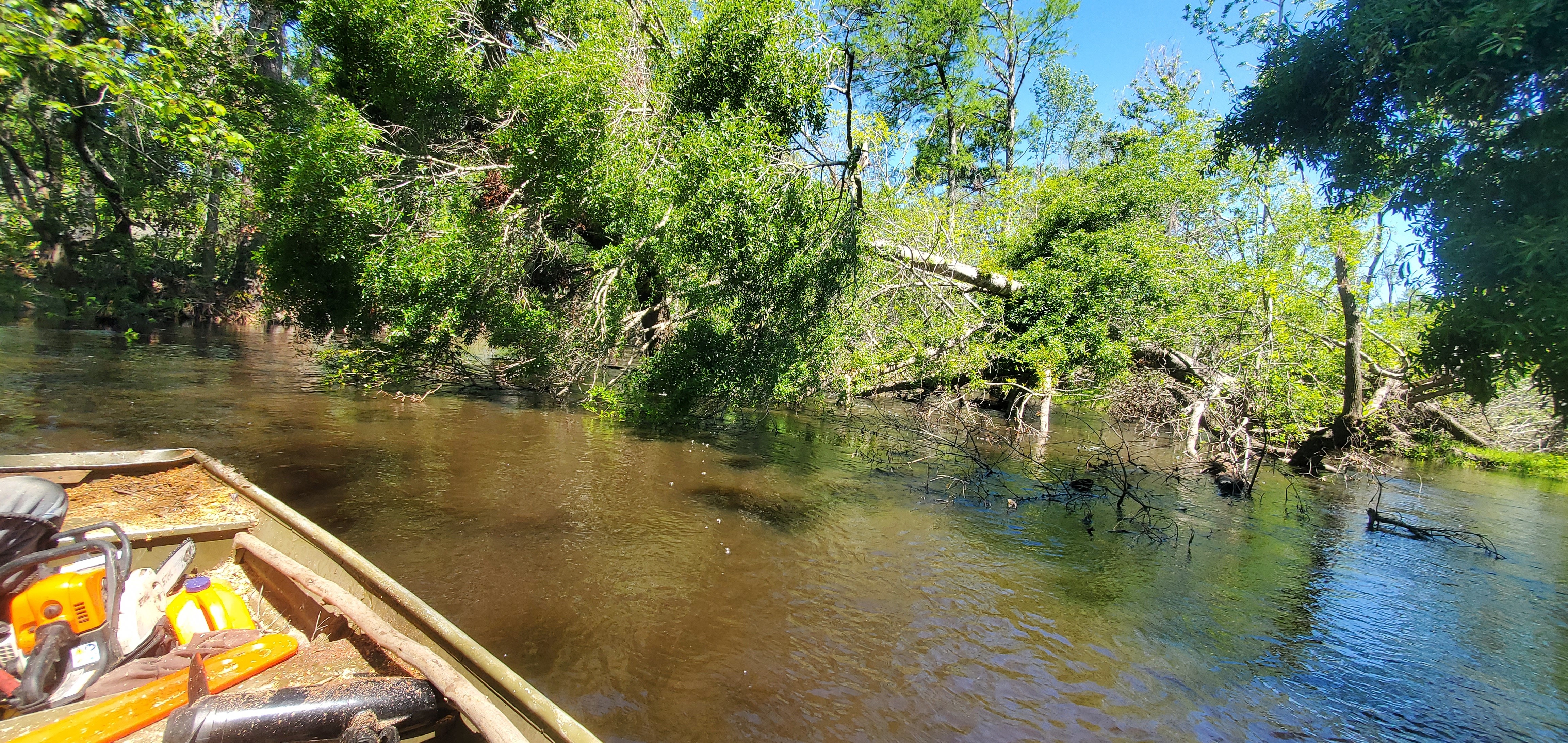 Go around on the right bank, 12:36:40, 30.8602054, -83.3241949
