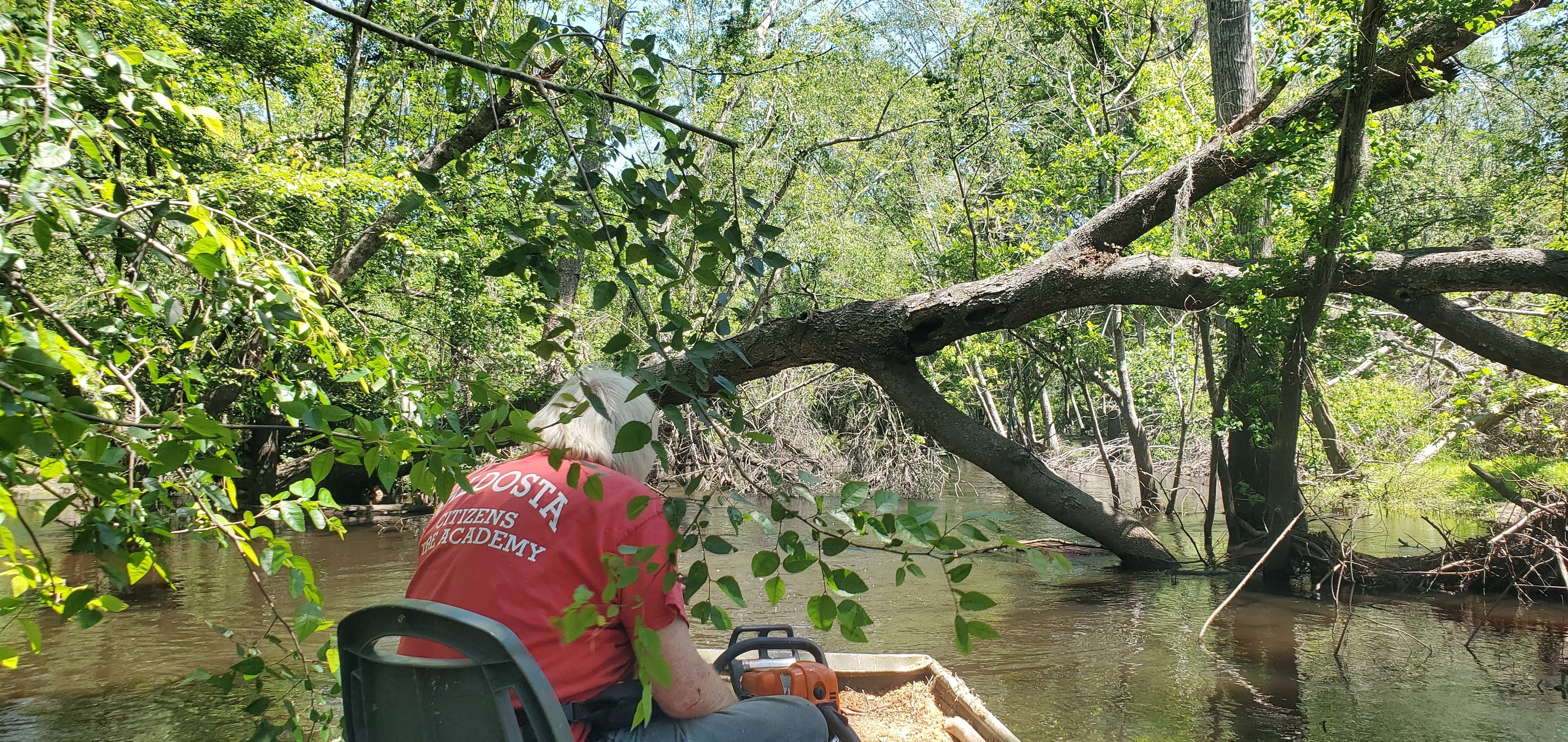 Deadfall above RR, 12:48:52, 30.8634688, -83.3216607