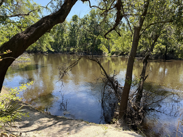 Holly Point other, Withlacoochee River @ NE Withla Bluffs Way 2025-04-16, 2025:04:16 14:53:36, 30.4137778, -83.2069167