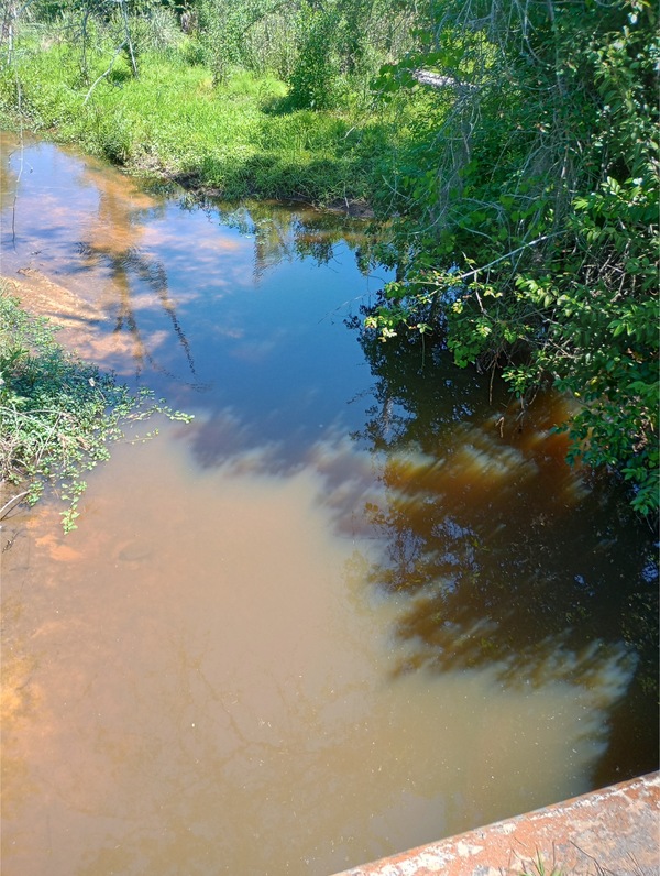 Tifton Longhorn Creek @ McCormick Drive other, 2025-04-16, 2025:04:16 12:24:40, 31.4431095, -83.5338211