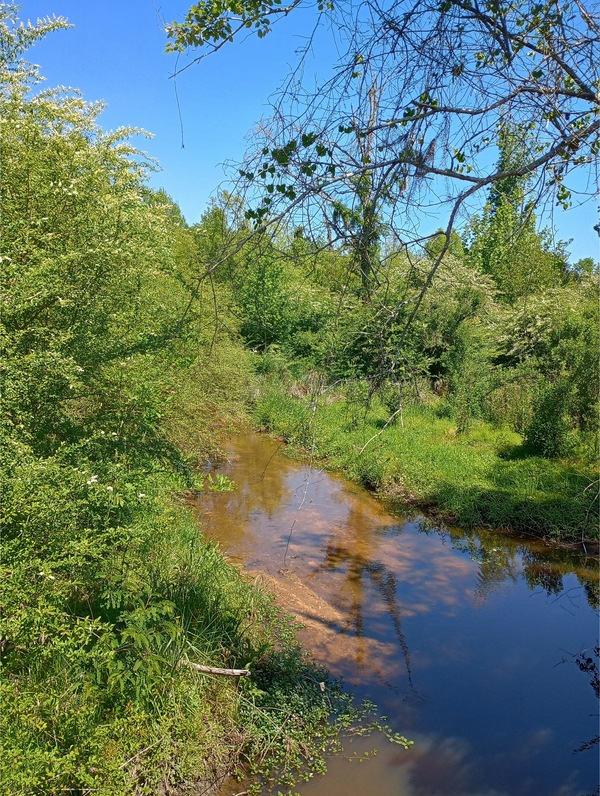 Tifton Longhorn Creek @ McCormick Drive other, 2025-04-16, 2025:04:16 12:24:45, 31.4431095, -83.5338211