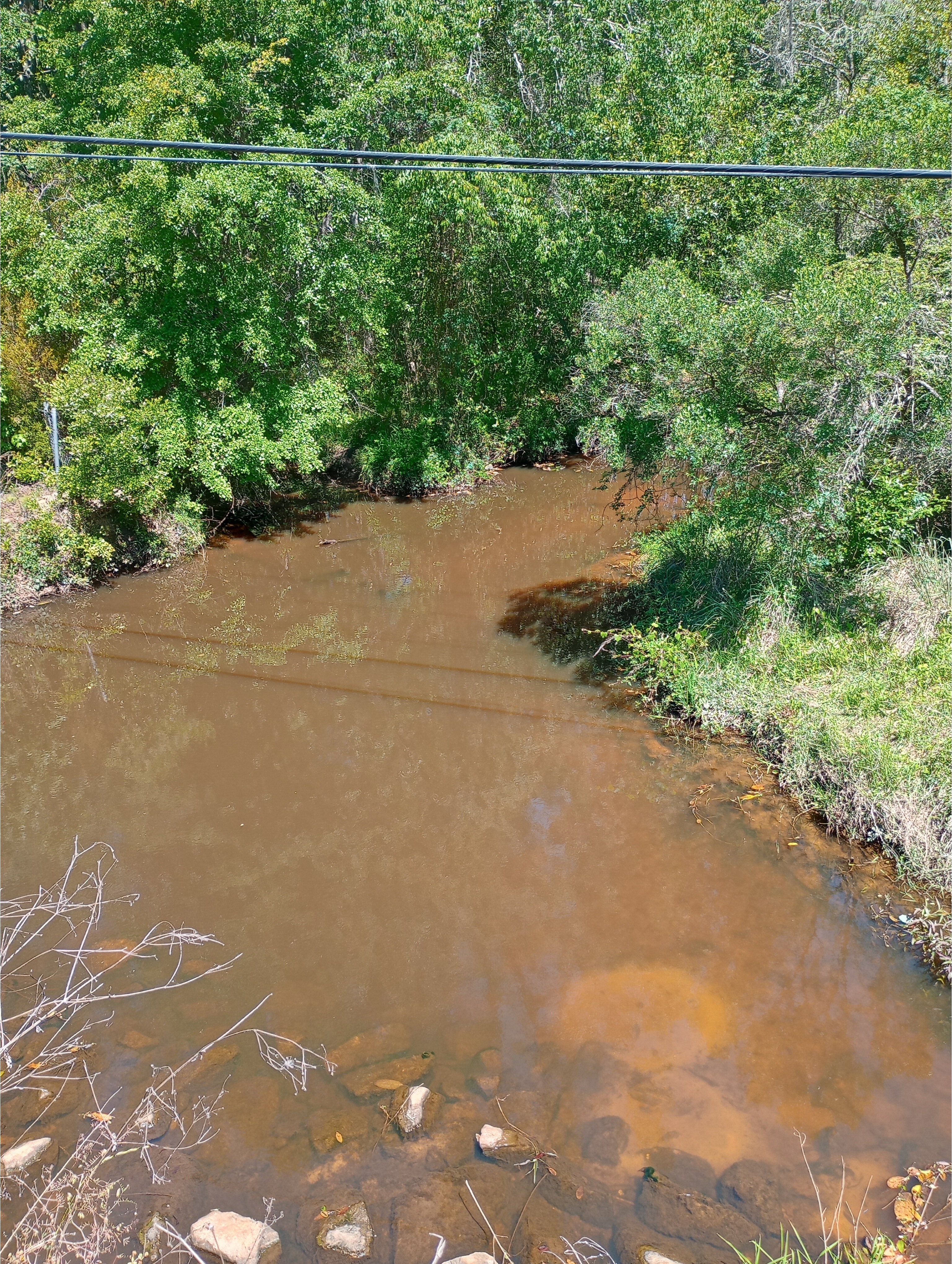 Kell Road Creek @ Kell Road 2025-04-16, 12:02:38, 31.4008655, -83.5330124