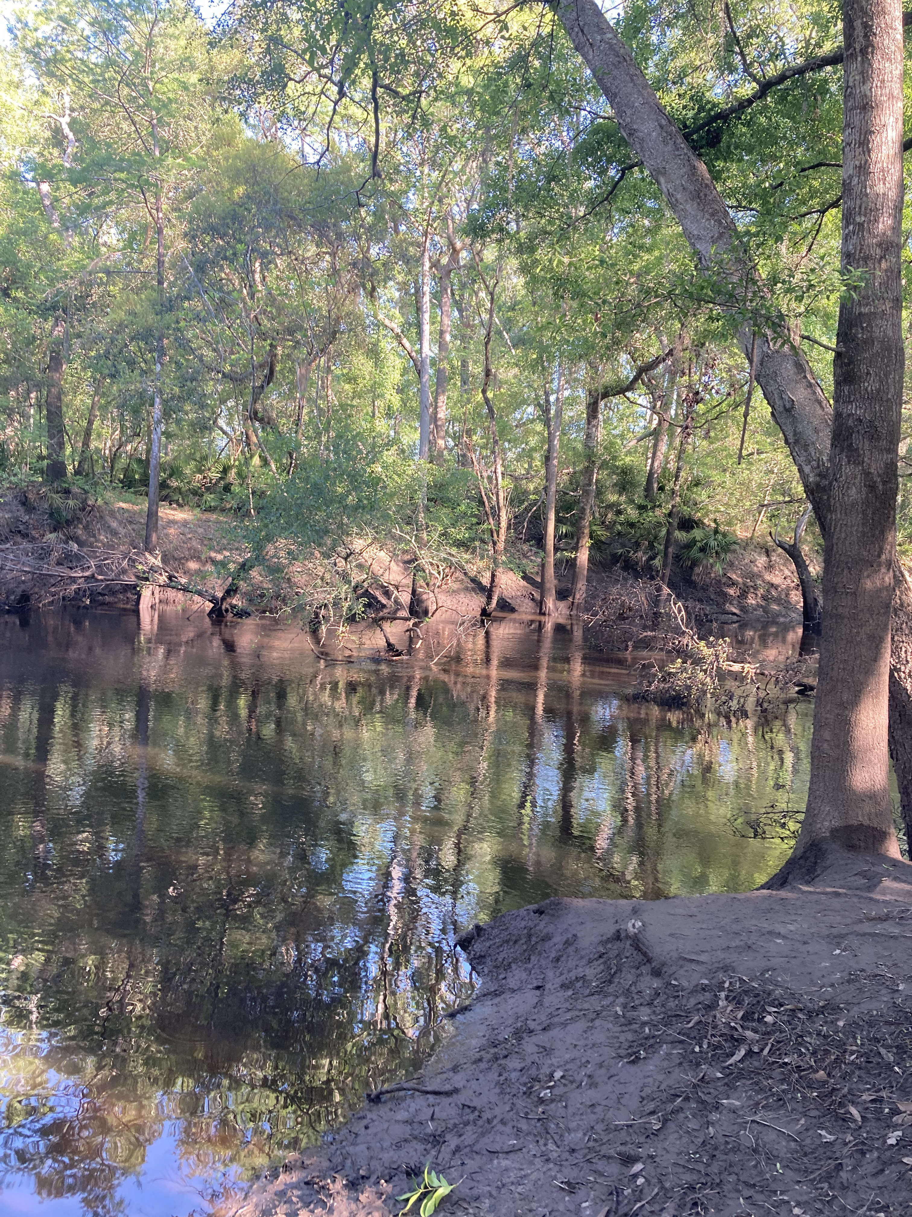 Staten Road, Withlacoochee River @ Staten Road 2025-04-17, 2025:04:18 09:03:57, 30.9280278, -83.2933500