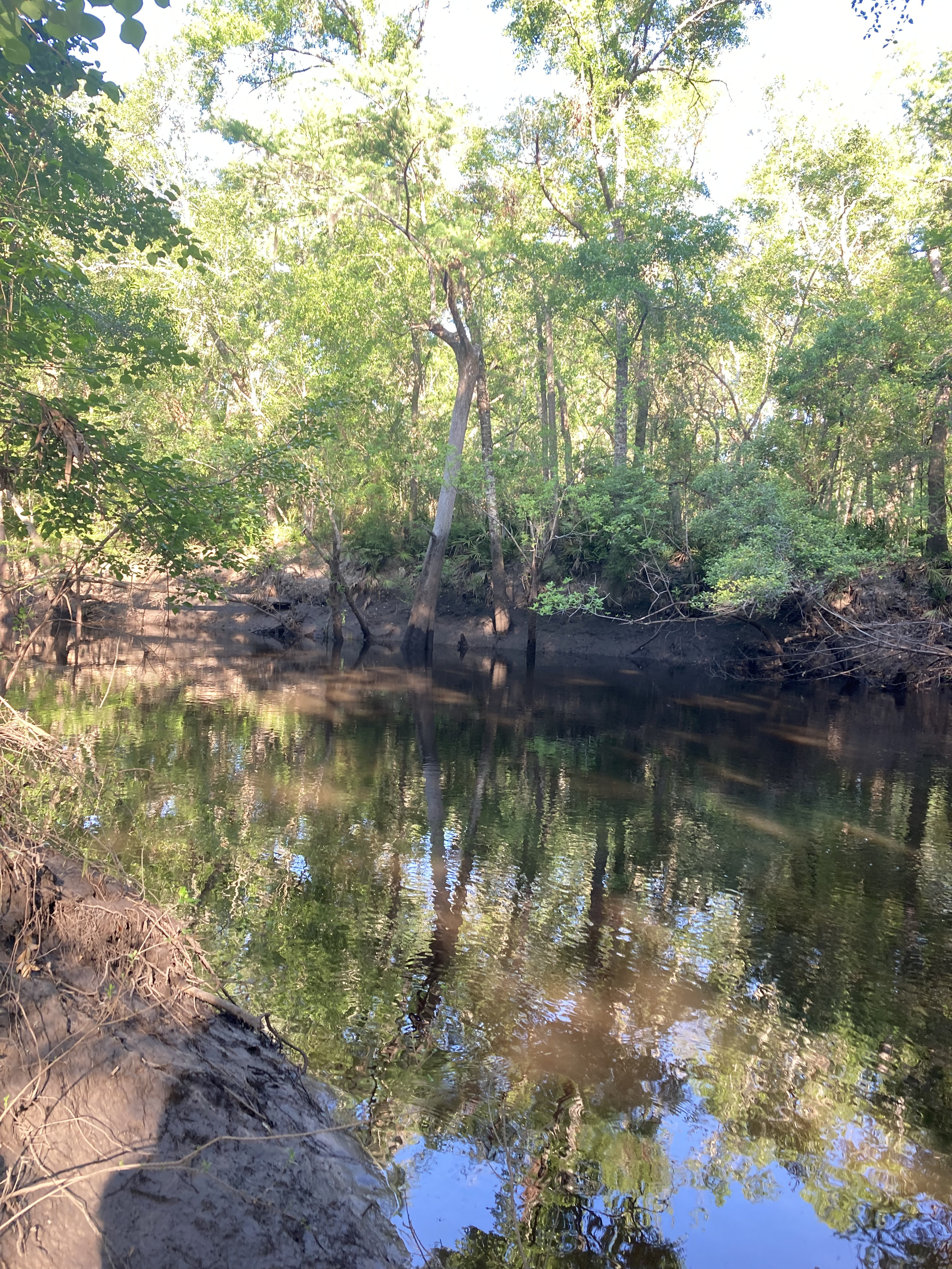 Staten Road other, Withlacoochee River @ Staten Road 2025-04-17, 2025:04:18 09:04:05, 30.9280500, -83.2933500
