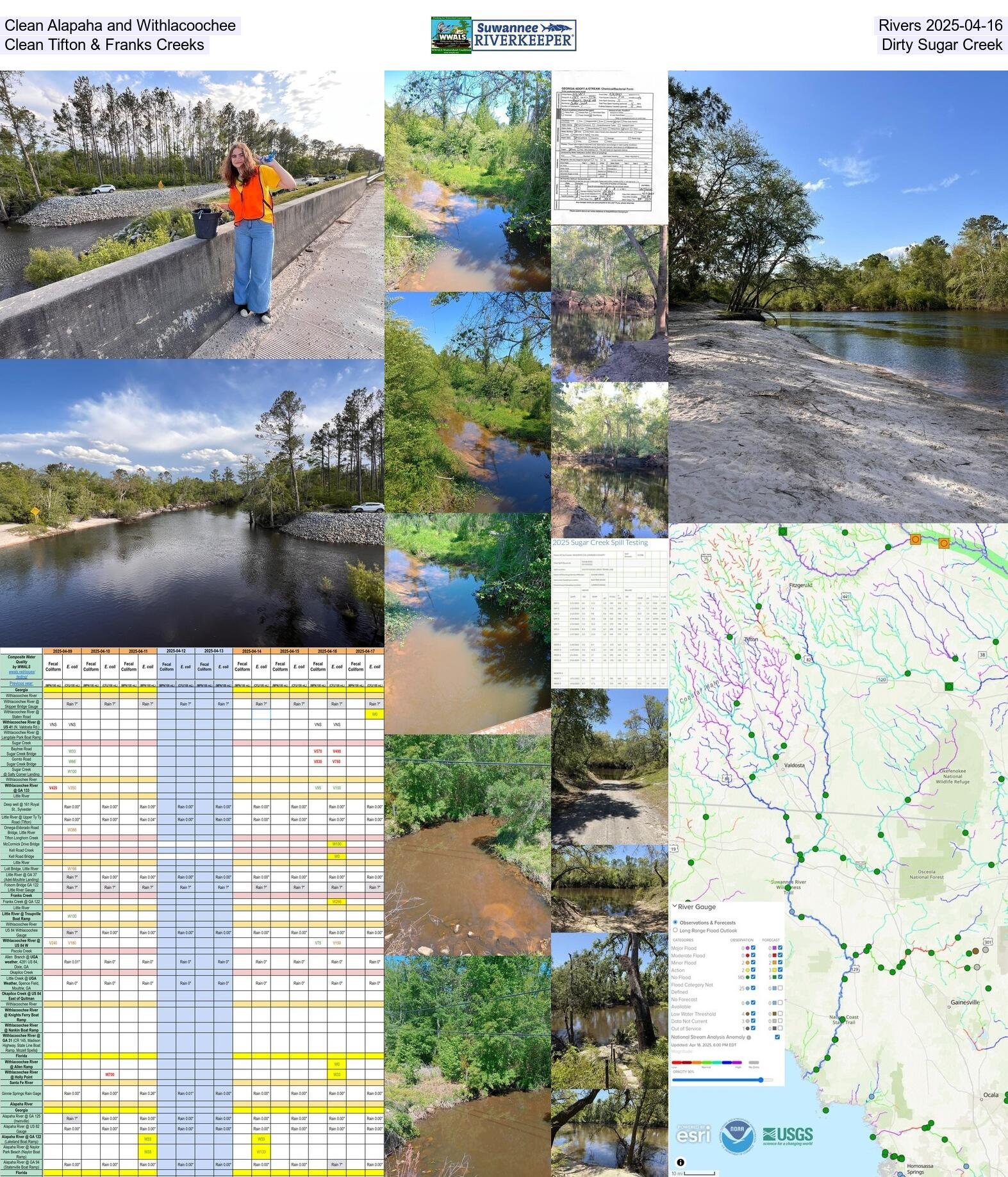 Clean Alapaha and Withlacoochee Rivers 2025-04-16, Clean Tifton & Franks Creeks, Dirty Sugar Creek