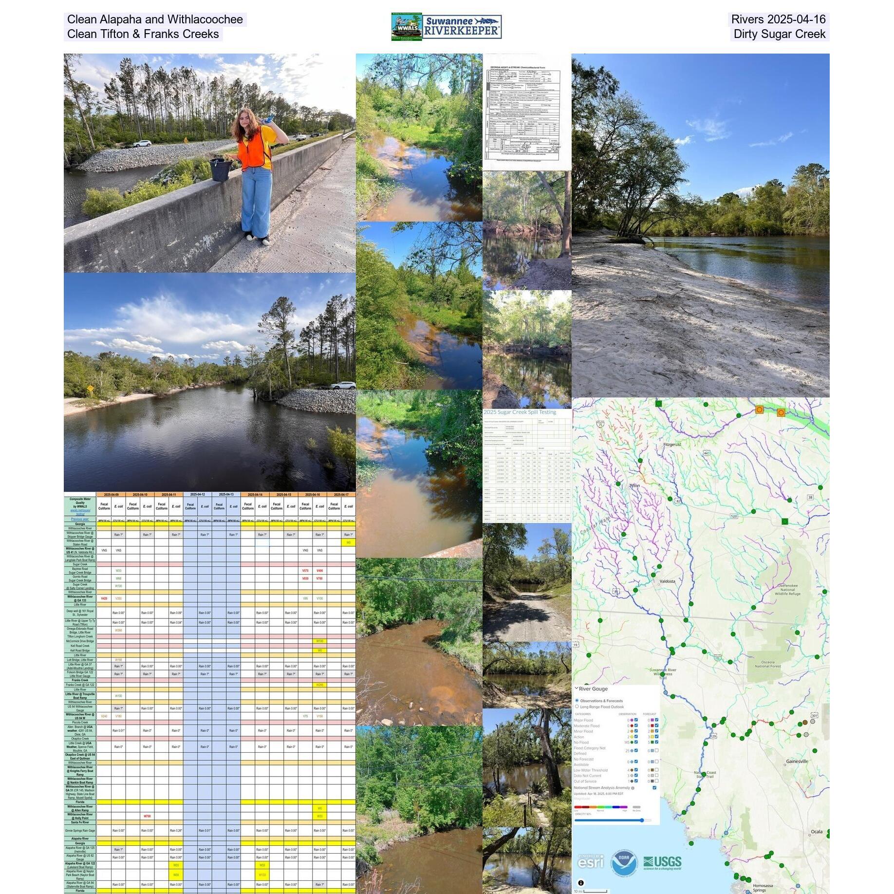 Clean Alapaha and Withlacoochee Rivers 2025-04-16, Clean Tifton & Franks Creeks, Dirty Sugar Creek