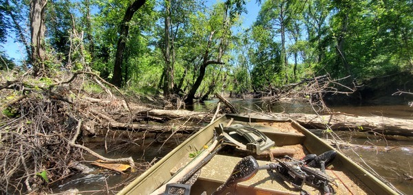 [New Deadfall, part of Alexis Deadfalls, 12:40:40, 30.8573110, -83.3269205]