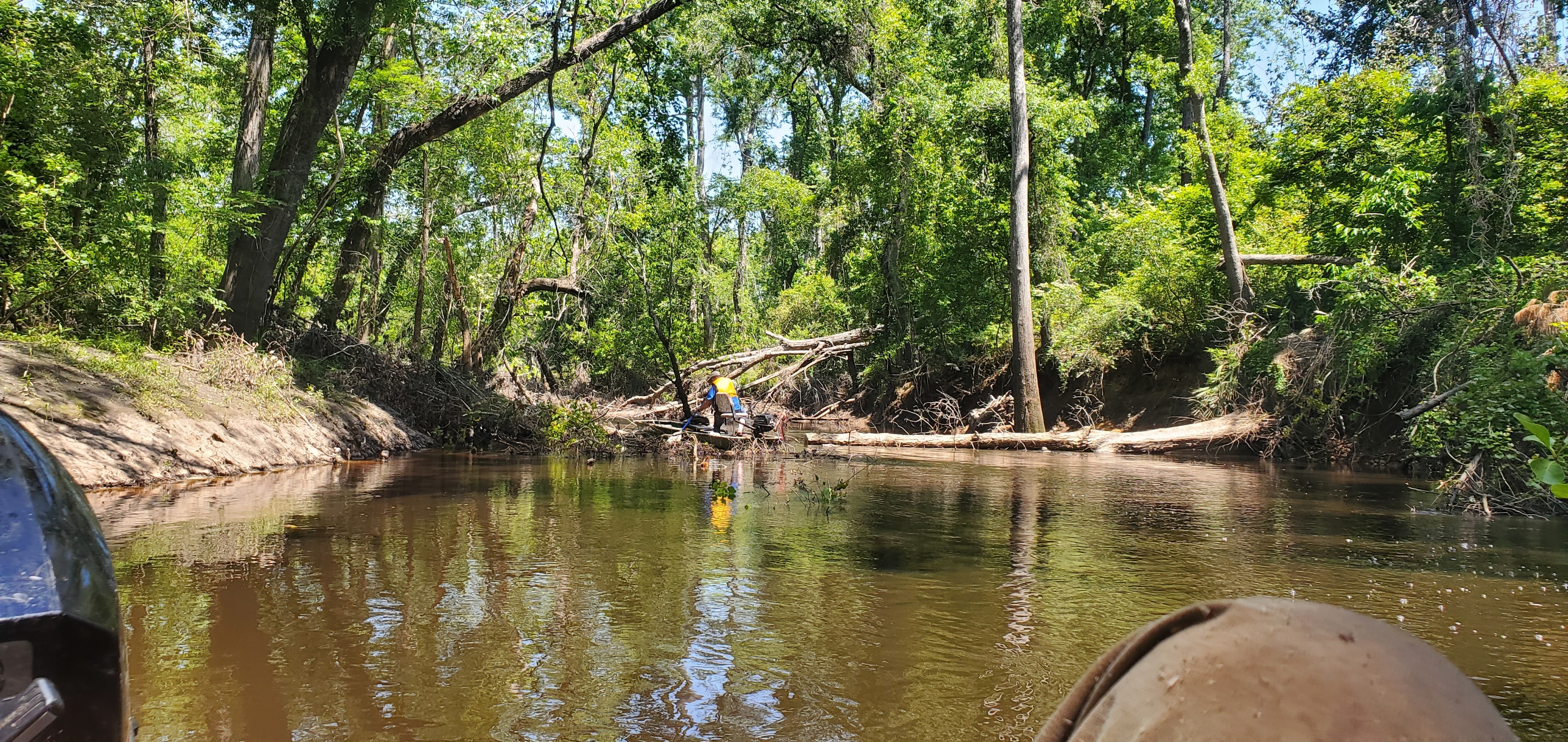A real mess in the Alexis Deadfalls, 13:47:13, 30.8570002, -83.3268078