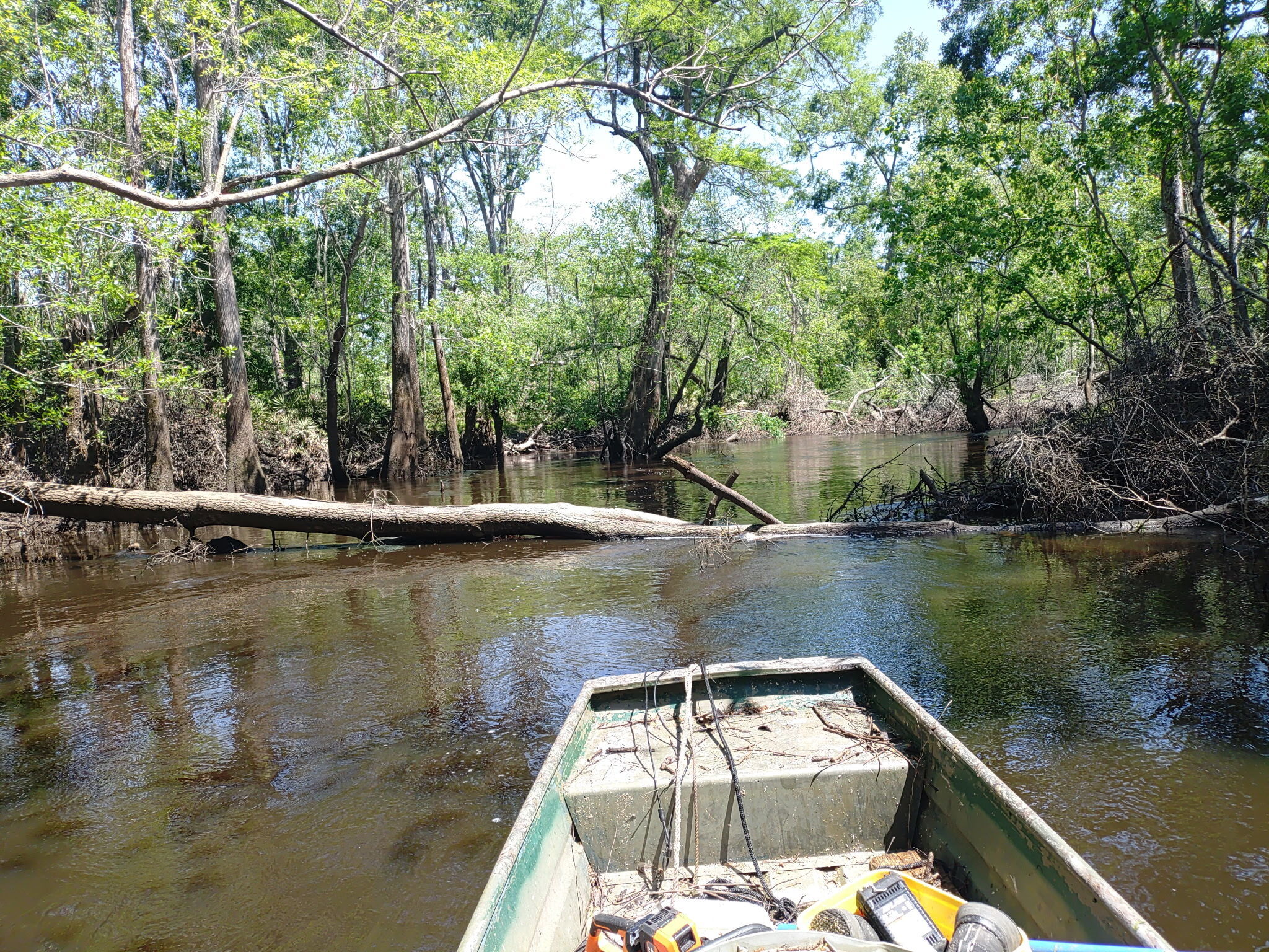 Holland Deadfall --Phil Royce, 30.8602222, -83.3251806