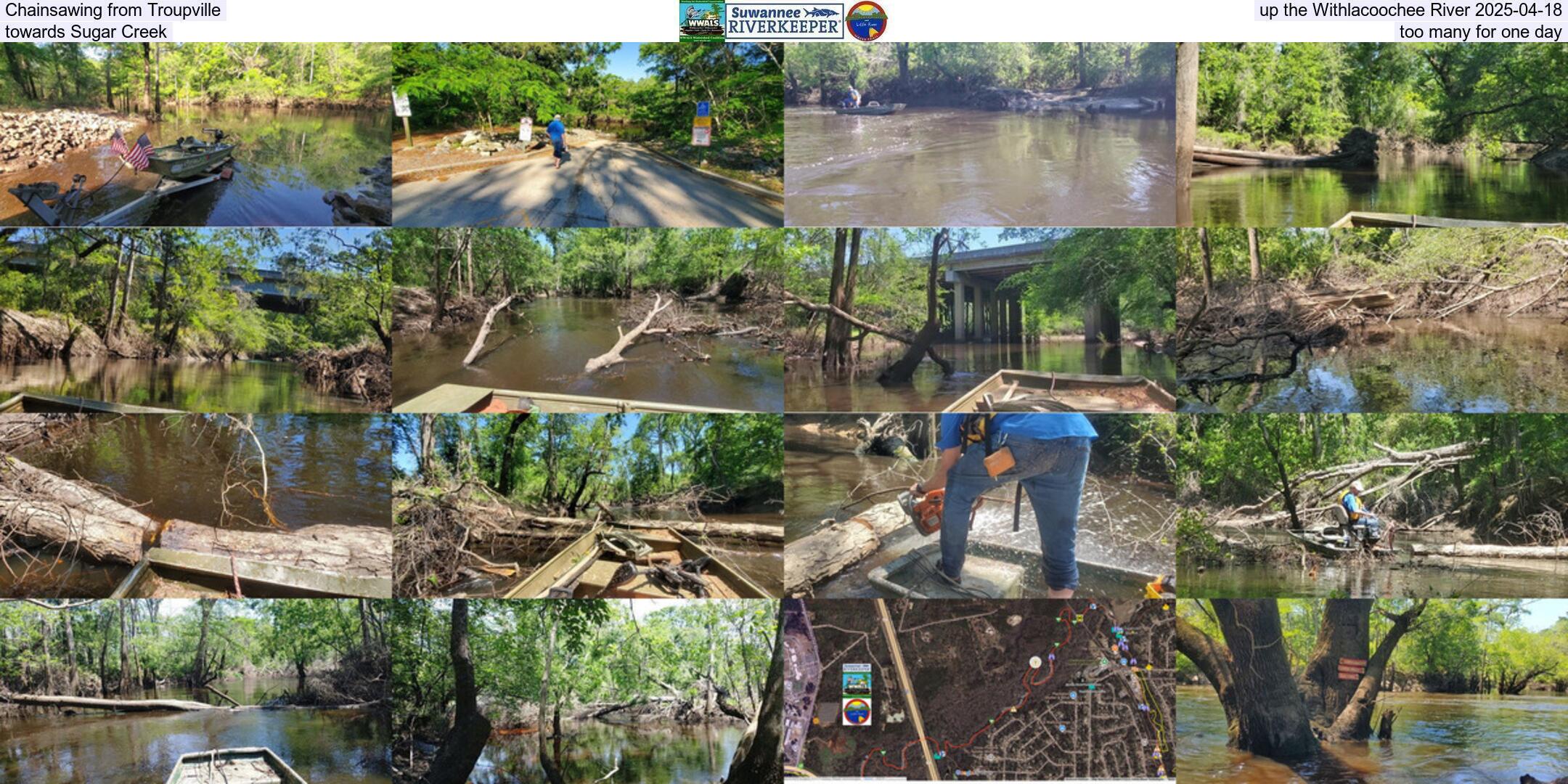 Chainsawing from Troupville up the Withlacoochee River 2025-04-18, towards Sugar Creek, too many for one day