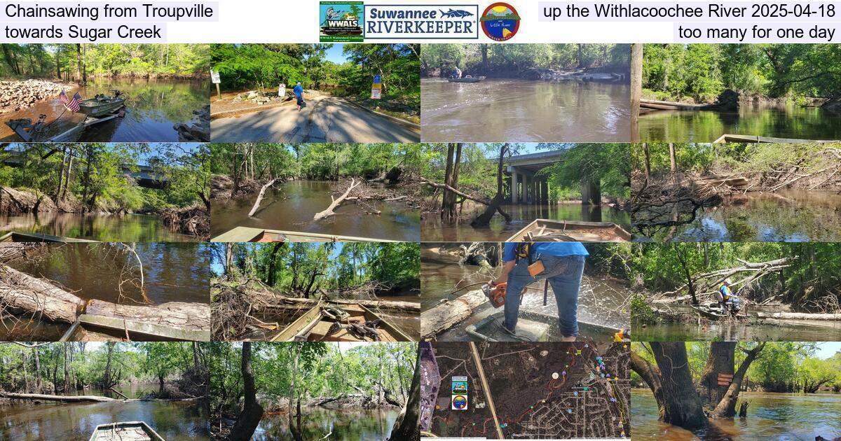Chainsawing from Troupville up the Withlacoochee River 2025-04-18, towards Sugar Creek, too many for one day
