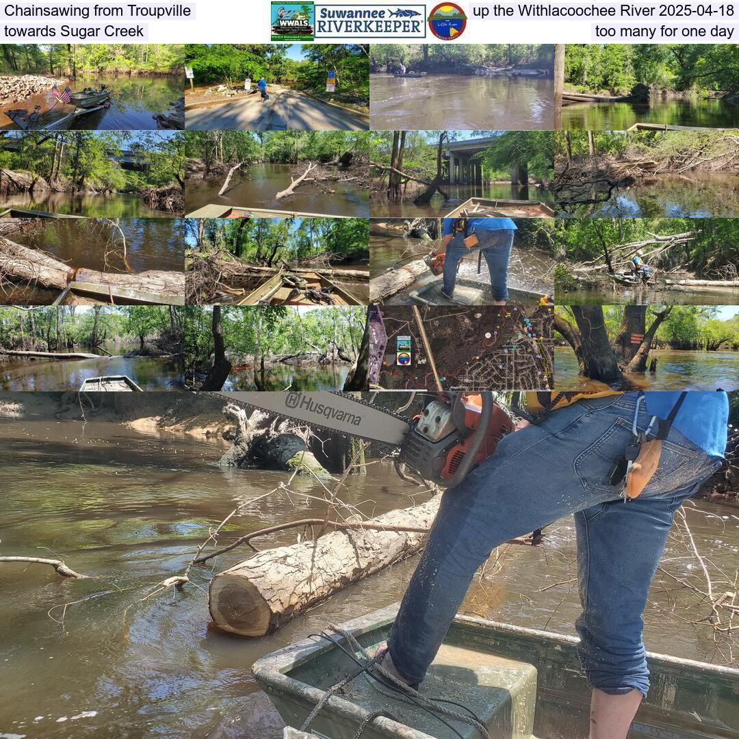Chainsawing from Troupville up the Withlacoochee River 2025-04-18, towards Sugar Creek, too many for one day