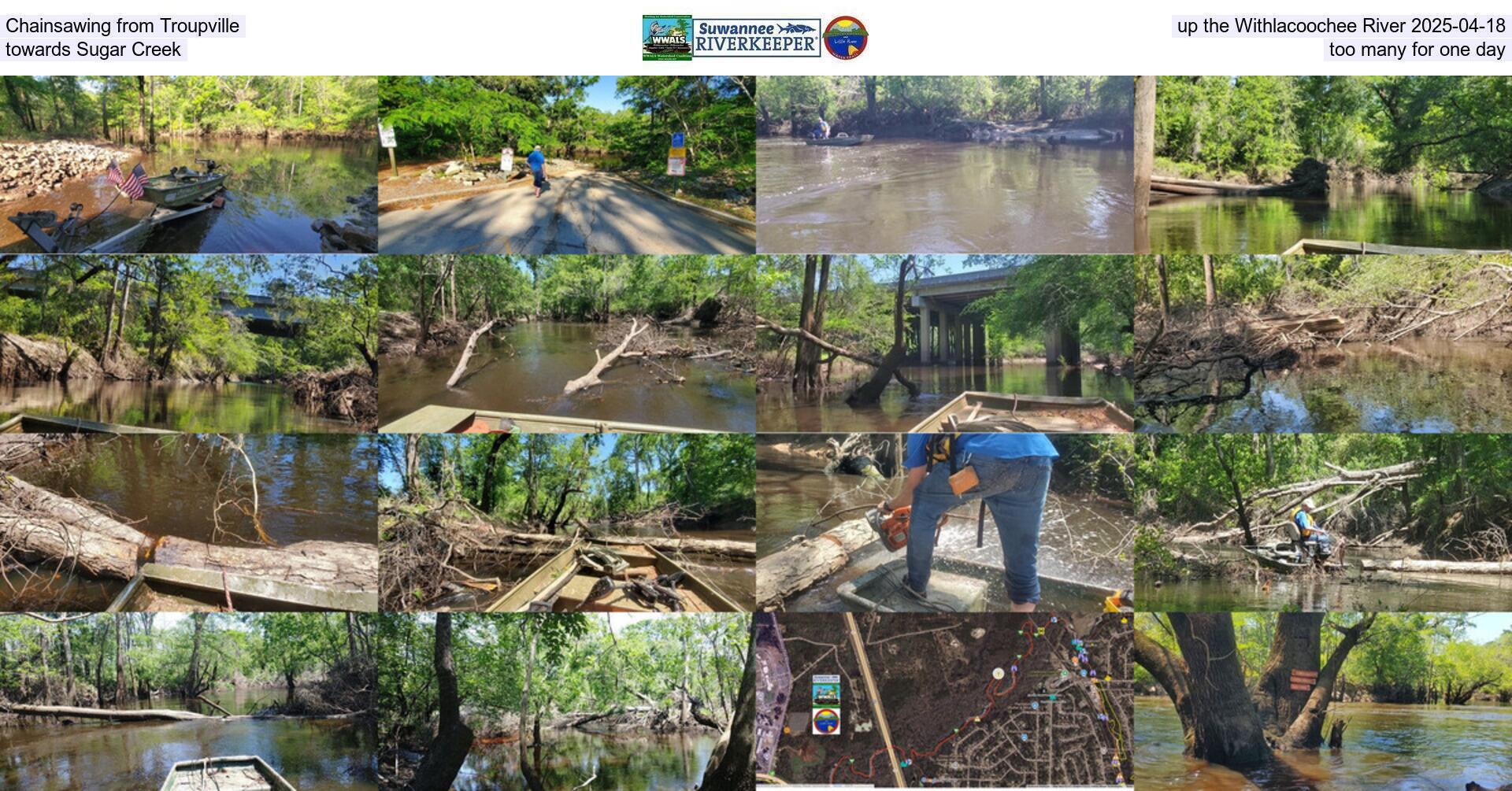 Chainsawing from Troupville up the Withlacoochee River 2025-04-18, towards Sugar Creek, too many for one day