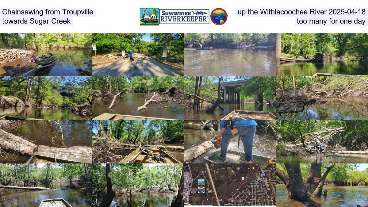 Chainsawing from Troupville up the Withlacoochee River 2025-04-18, towards Sugar Creek, too many for one day