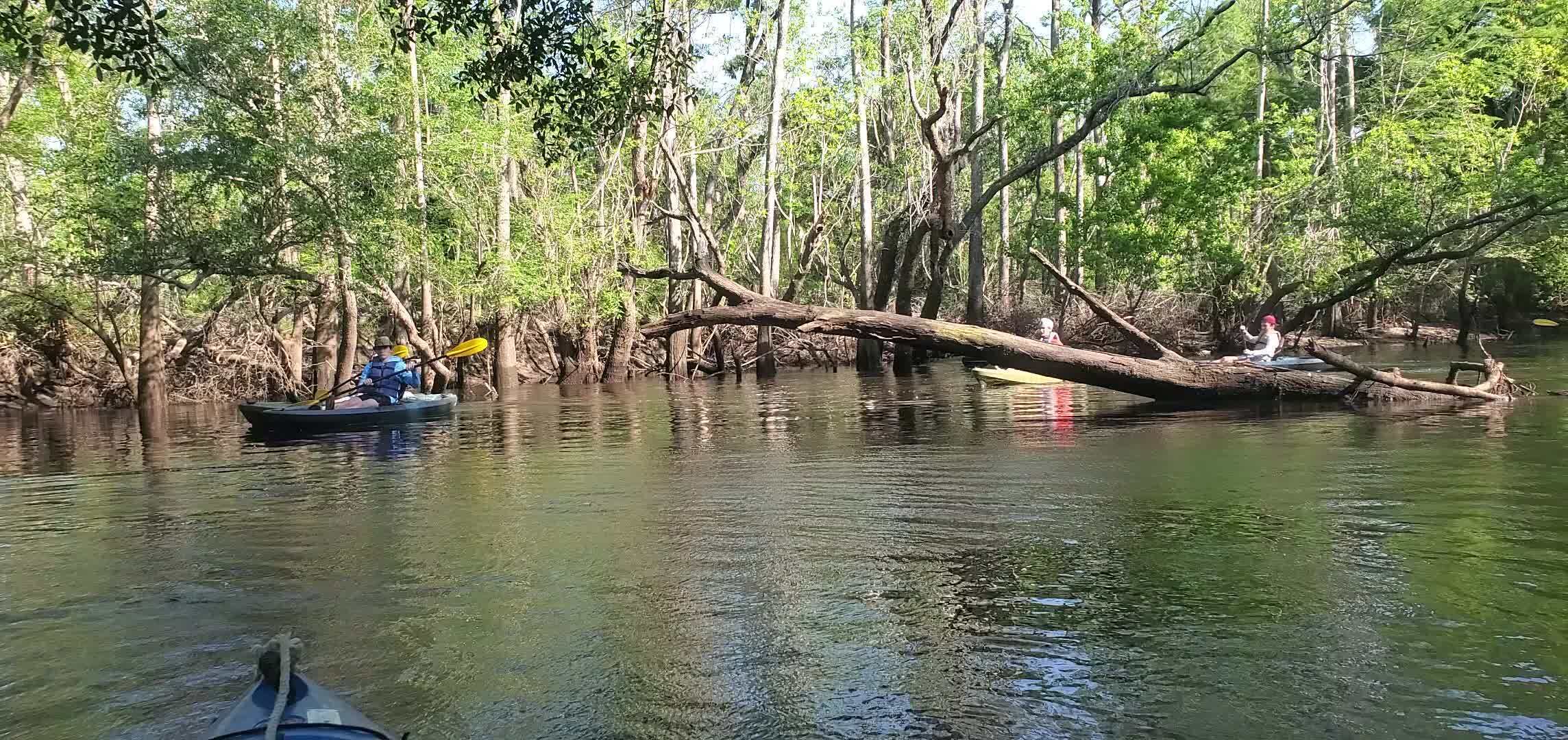 Movie: Paddlers, 09:47:08, 30.8842988, -83.3251434 (43M)