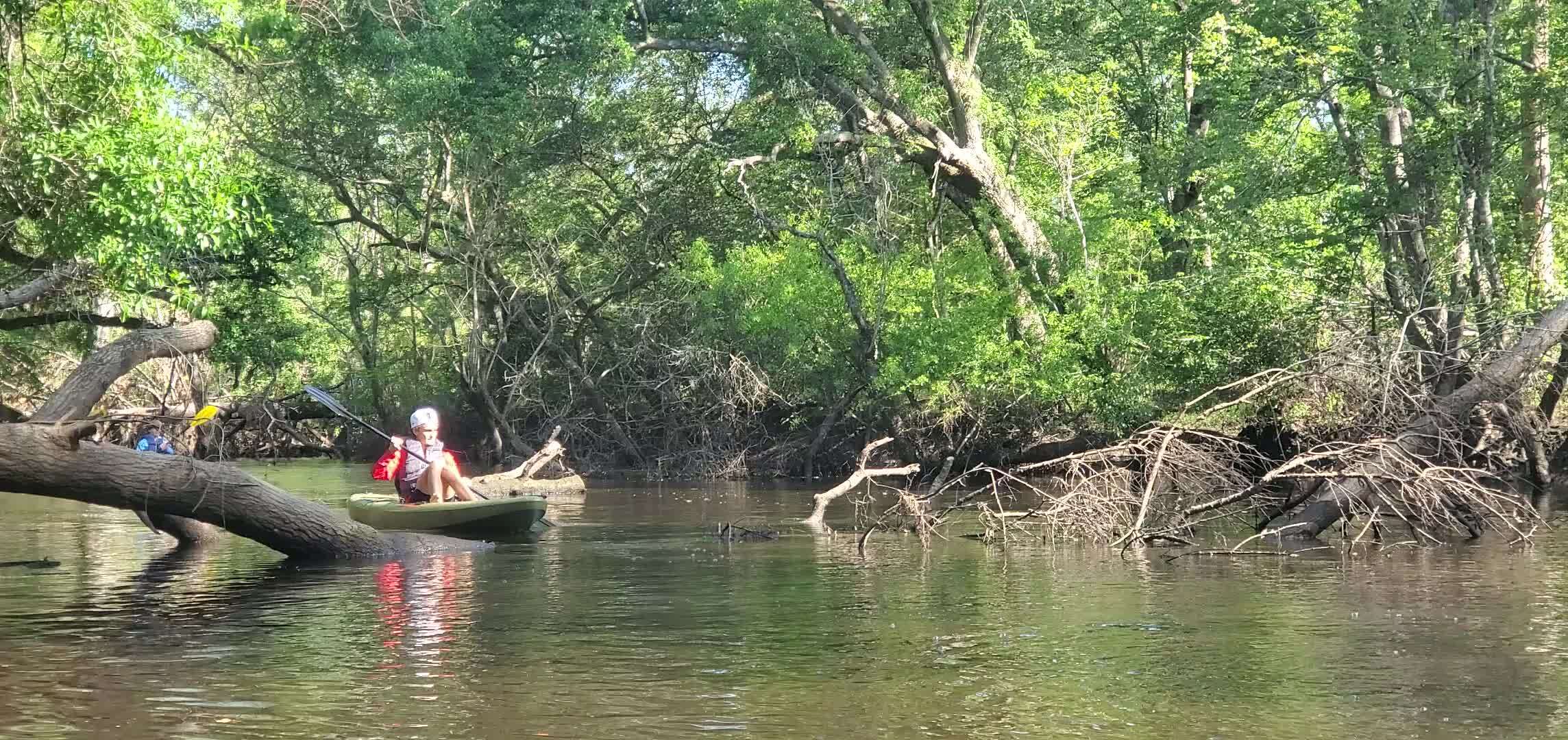 Movie: He floated over the log no problem, 10:07:15, 30.8811090, -83.3265476 (19M)