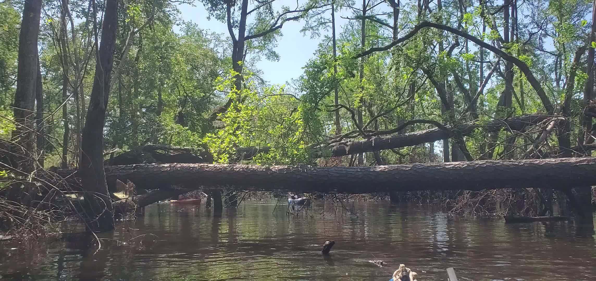 Movie: Pick your limbo spot, 11:09:09, 30.8667334, -83.3204241 (40M)