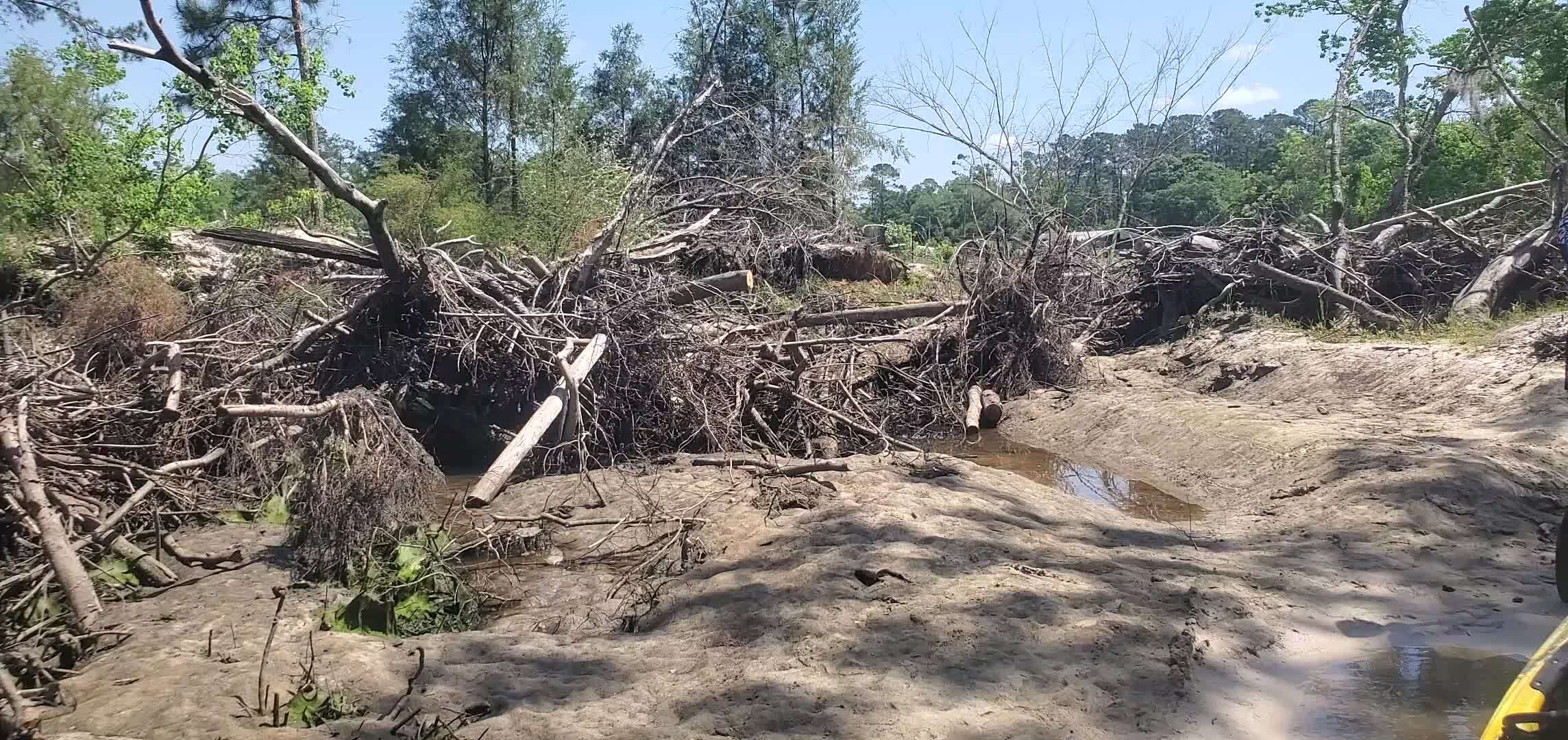 Movie: Water was a lot higher when we chainsawed that last Sunday, 12:17:22, 30.8633856, -83.3195195 (15M)