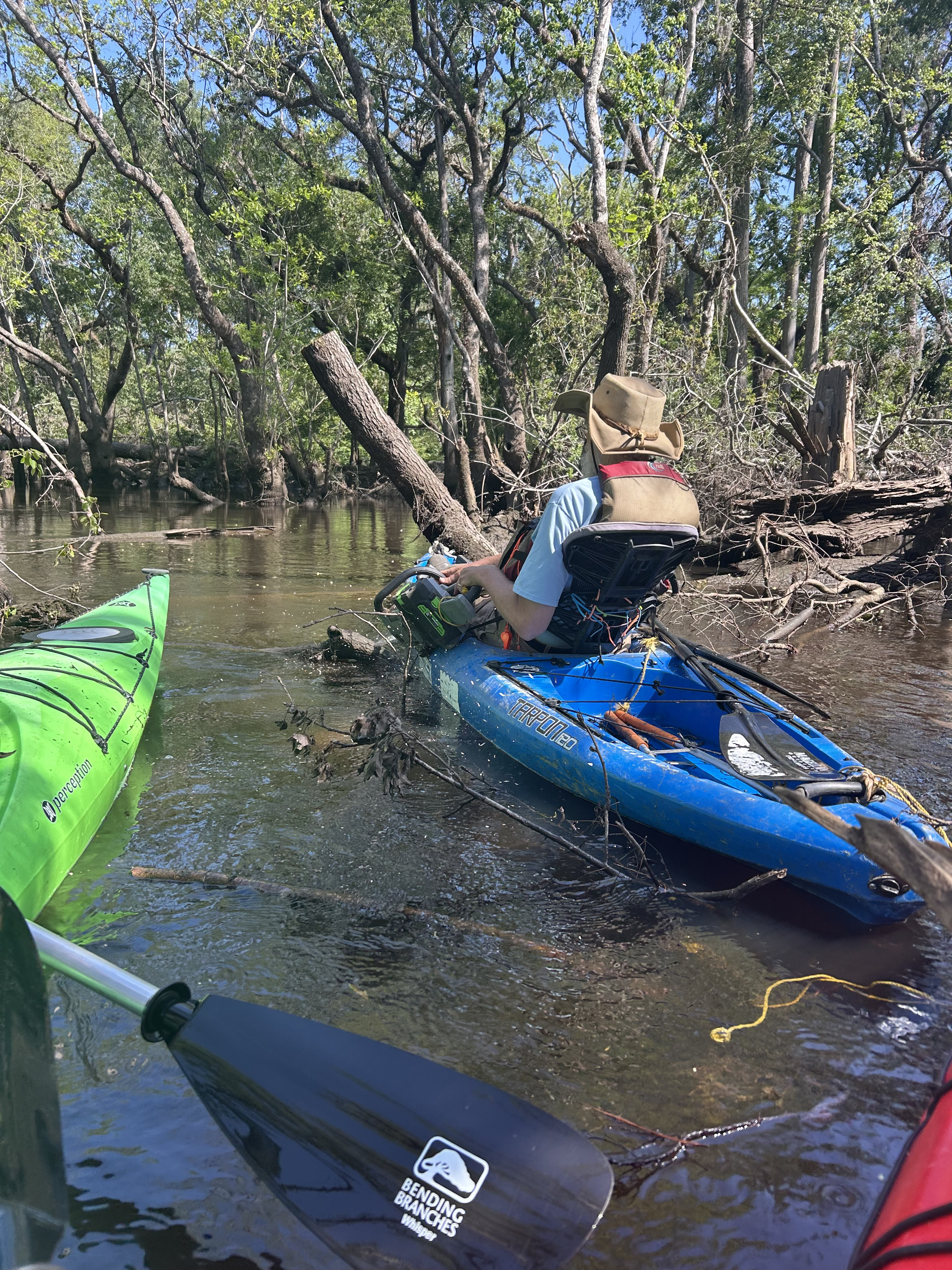 Chainsawing Suwannee Riverkeeper John S. Quarterman --Dan Phillips, 11:03:24