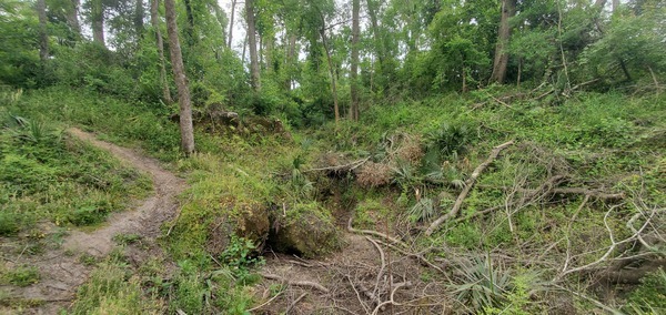 [Looking away from the river at Hurricane Helene debris]