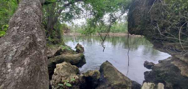 [Suwannee River, Hillman Bridge top left]